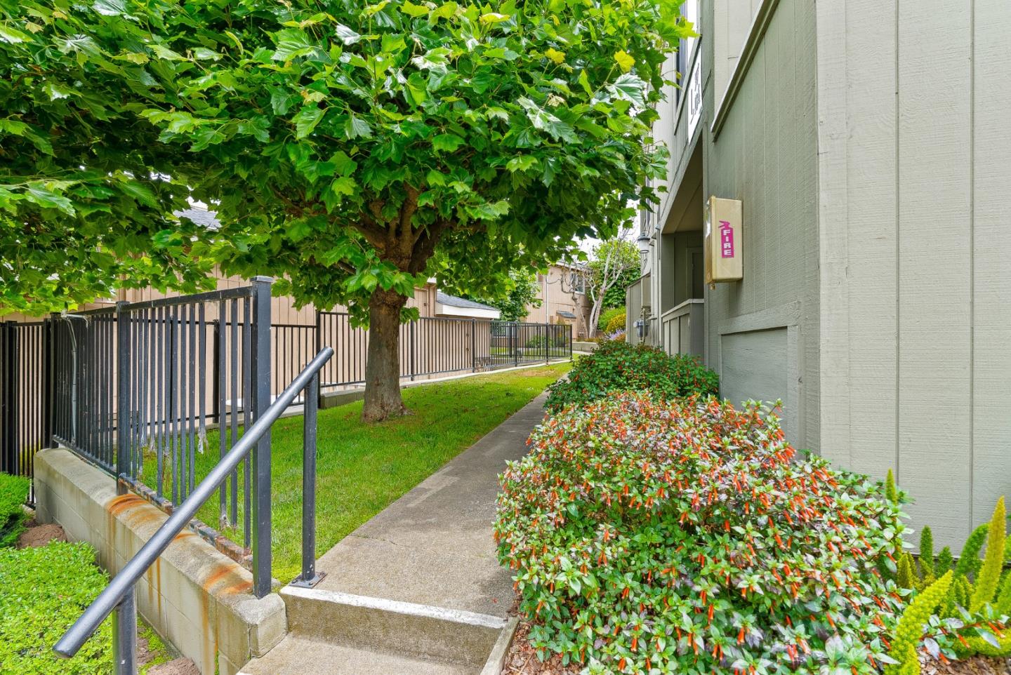 820 Casanova AVE 98