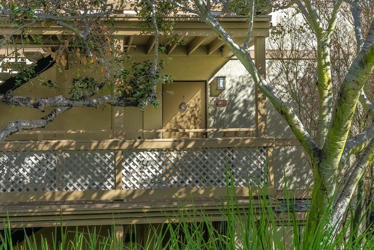 241 Quail Run CT