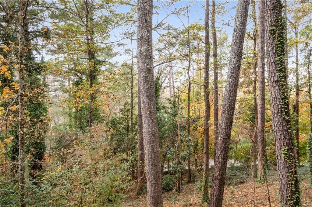 2236 Tristan Circle NE