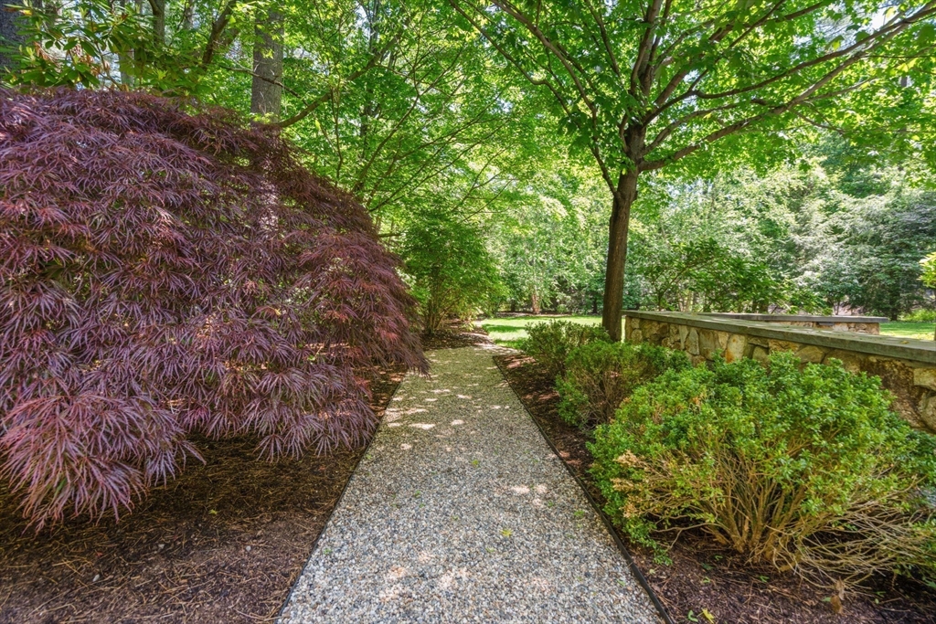 48 Scotch Pine Rd