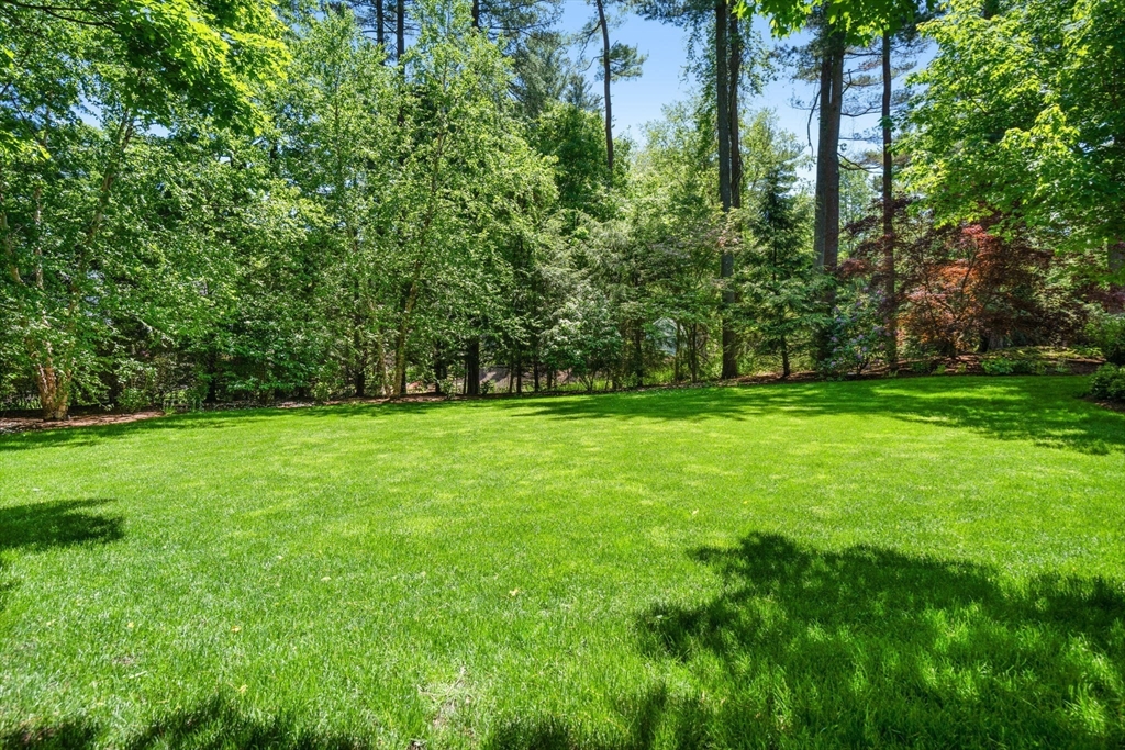 48 Scotch Pine Rd
