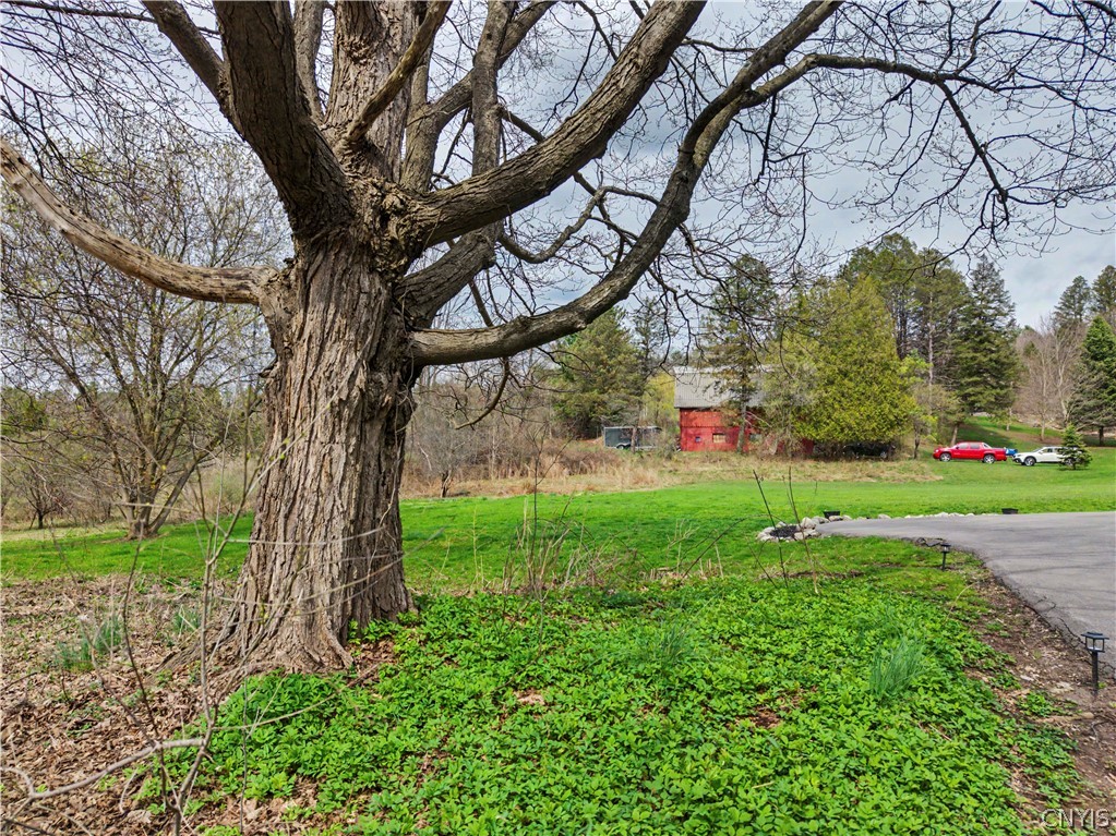 8867 Cazenovia Road