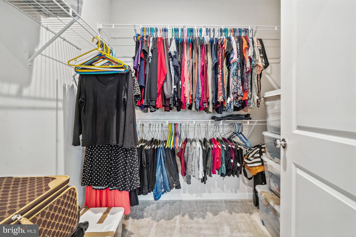 21610 Hawksbill High Cir #102