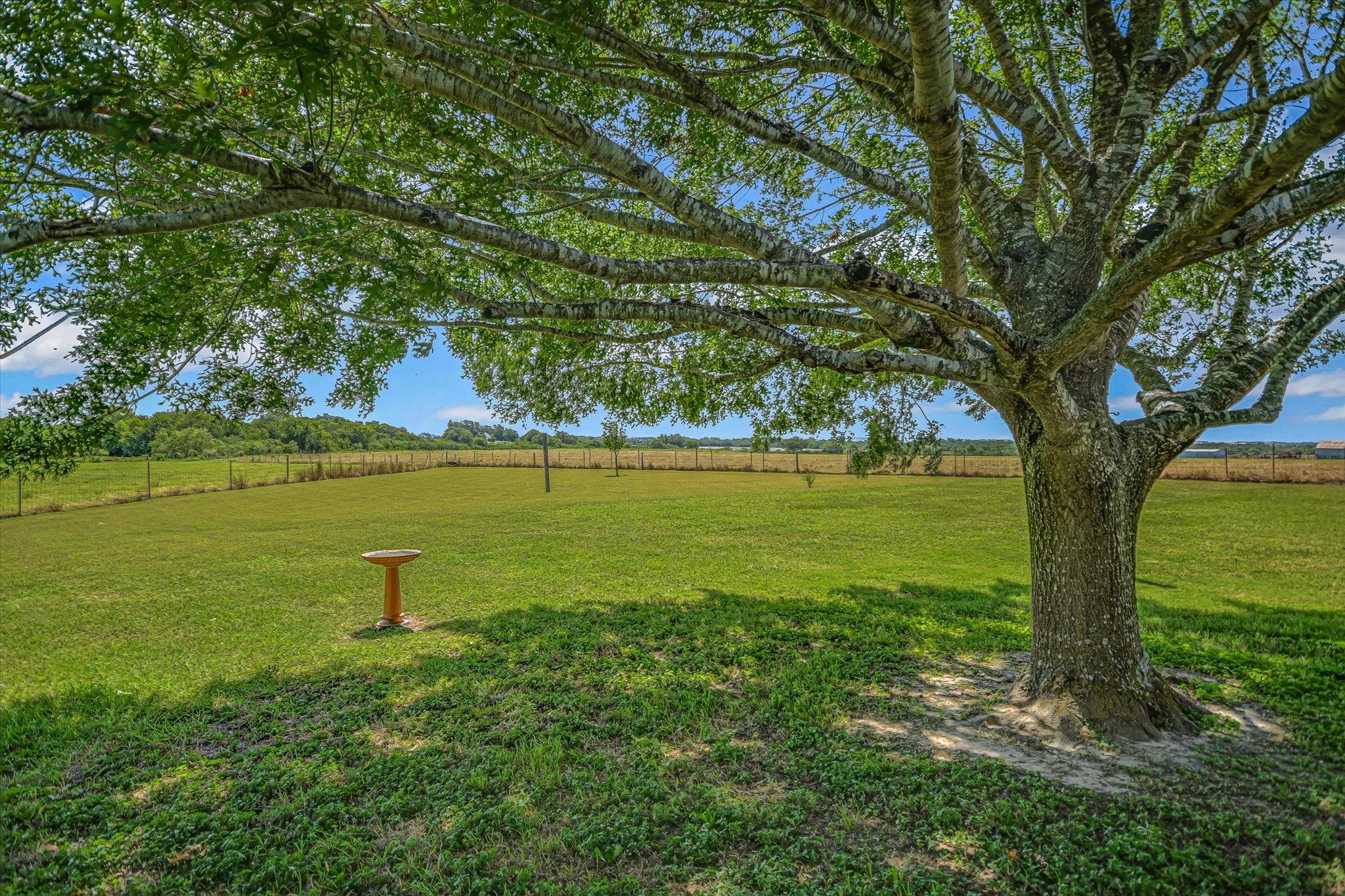 1465 County Road 436