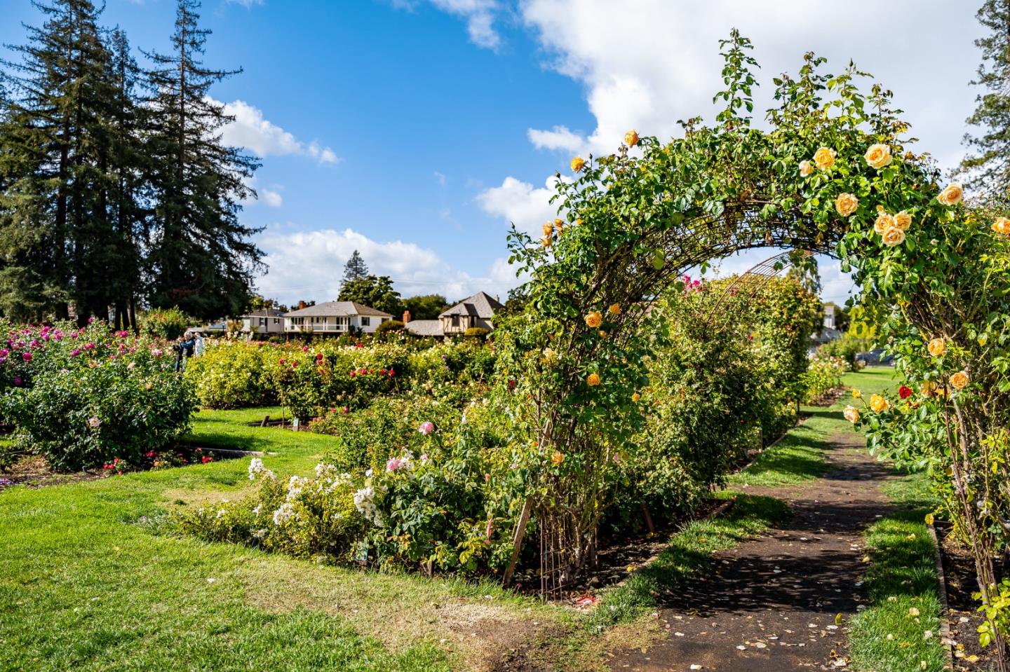 1435 Rosecrest Terrace