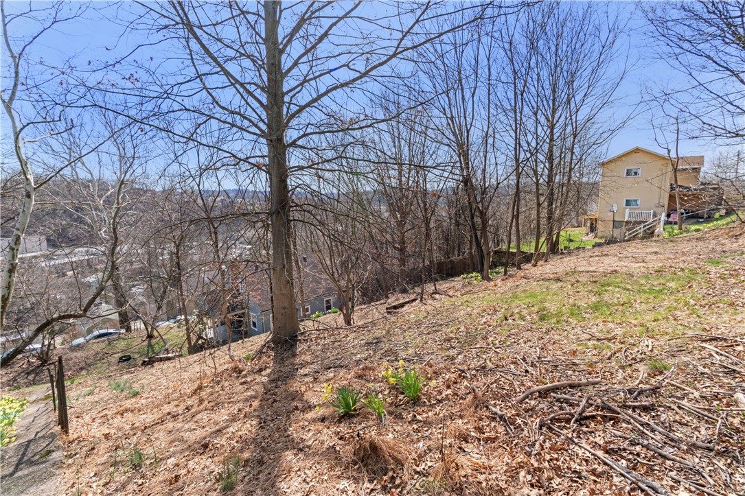 801 Maple Way