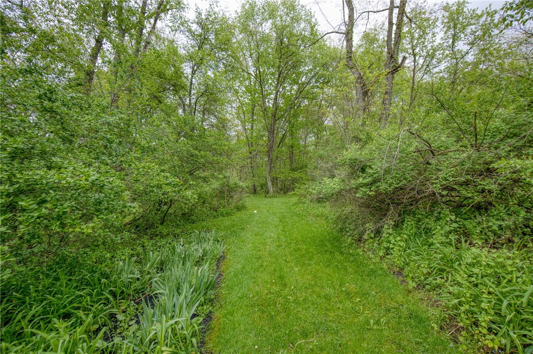 64 Shuster Rd