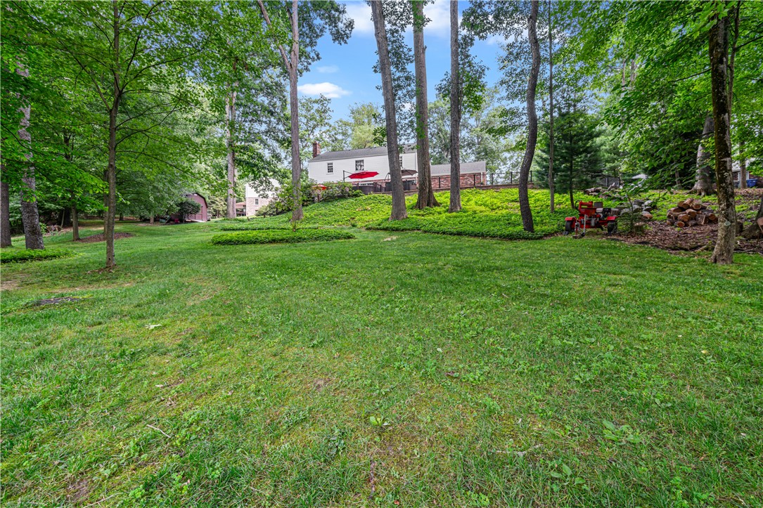 109 Lyndon Ln