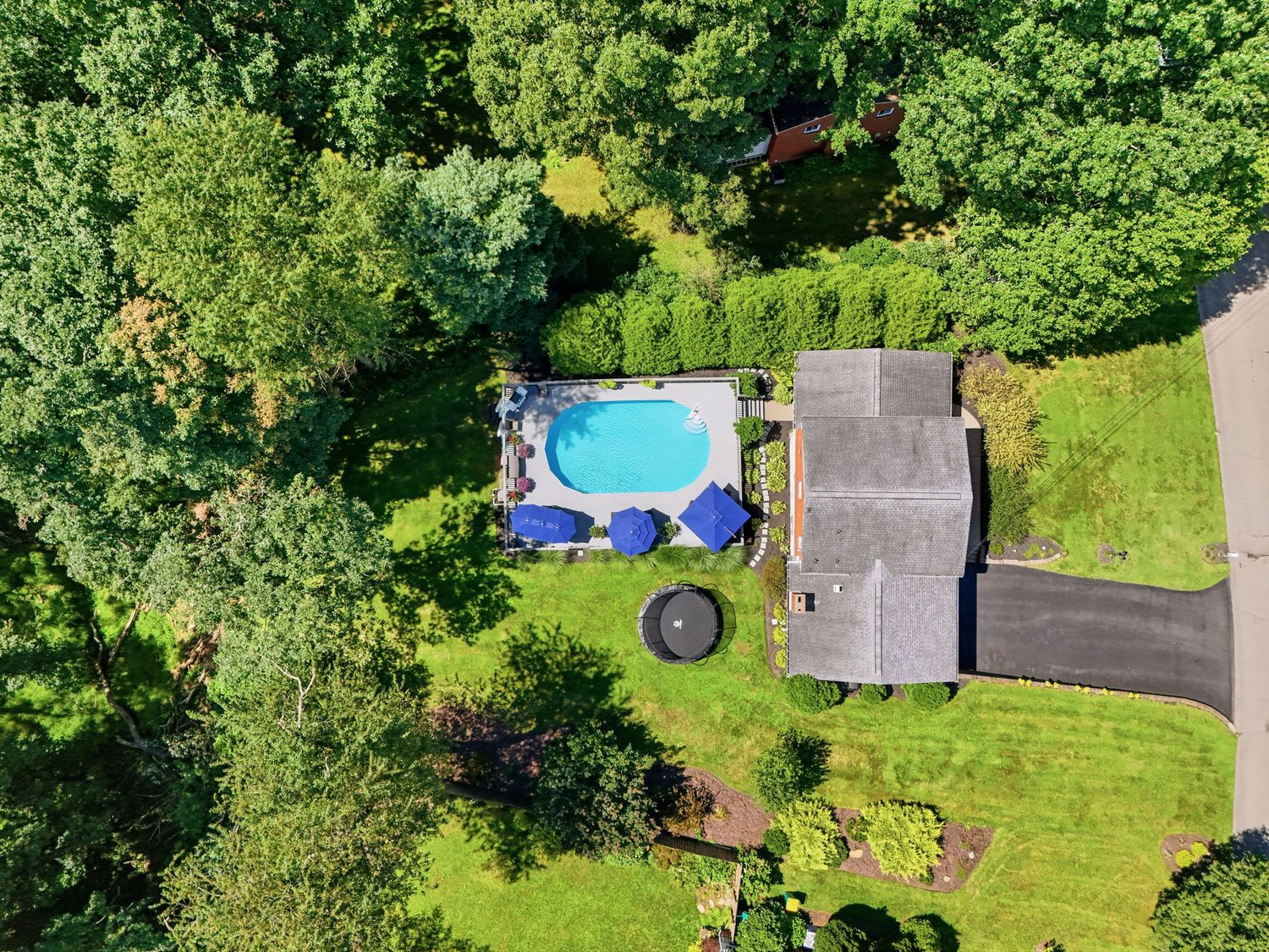 2354 Saddle DRIVE