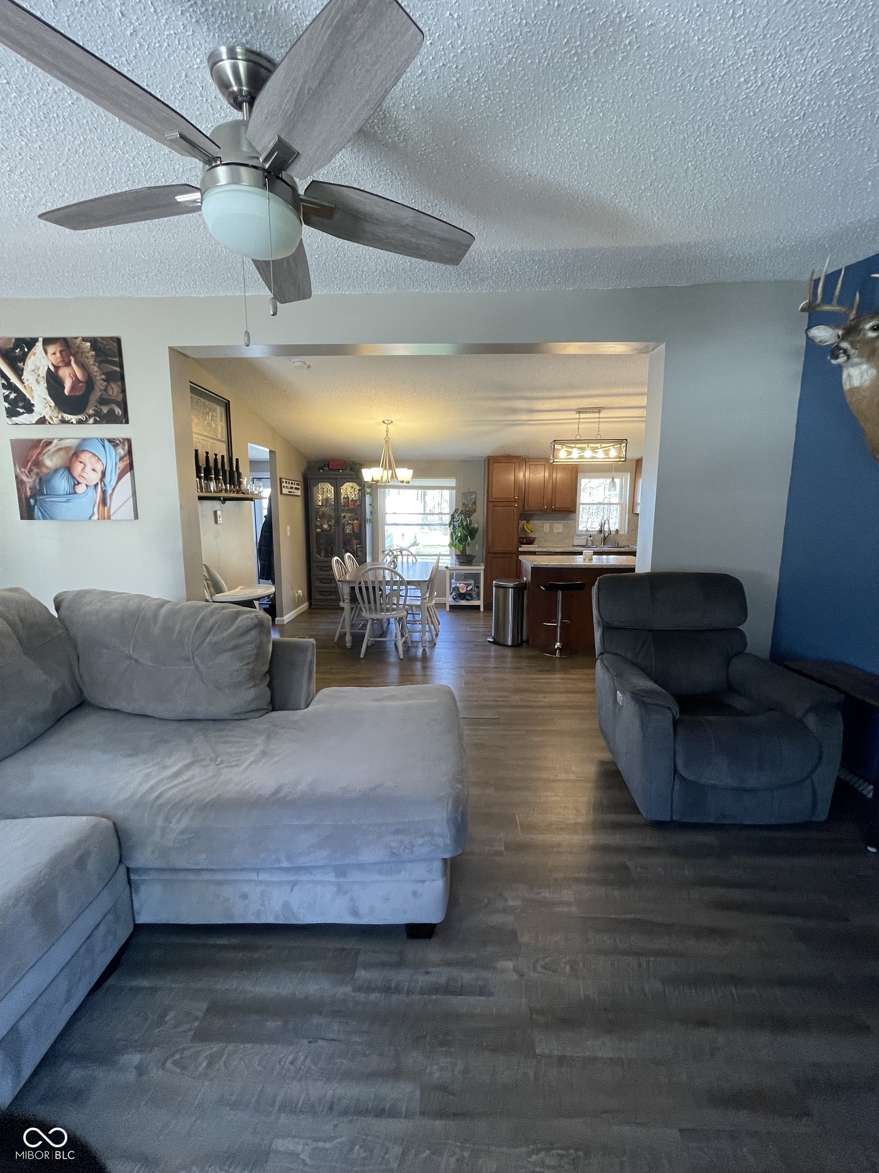 25706 W County Line Road