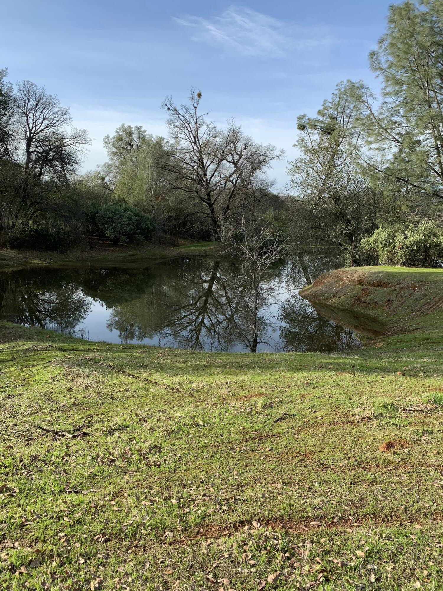 13955 Dusty Oaks Trail