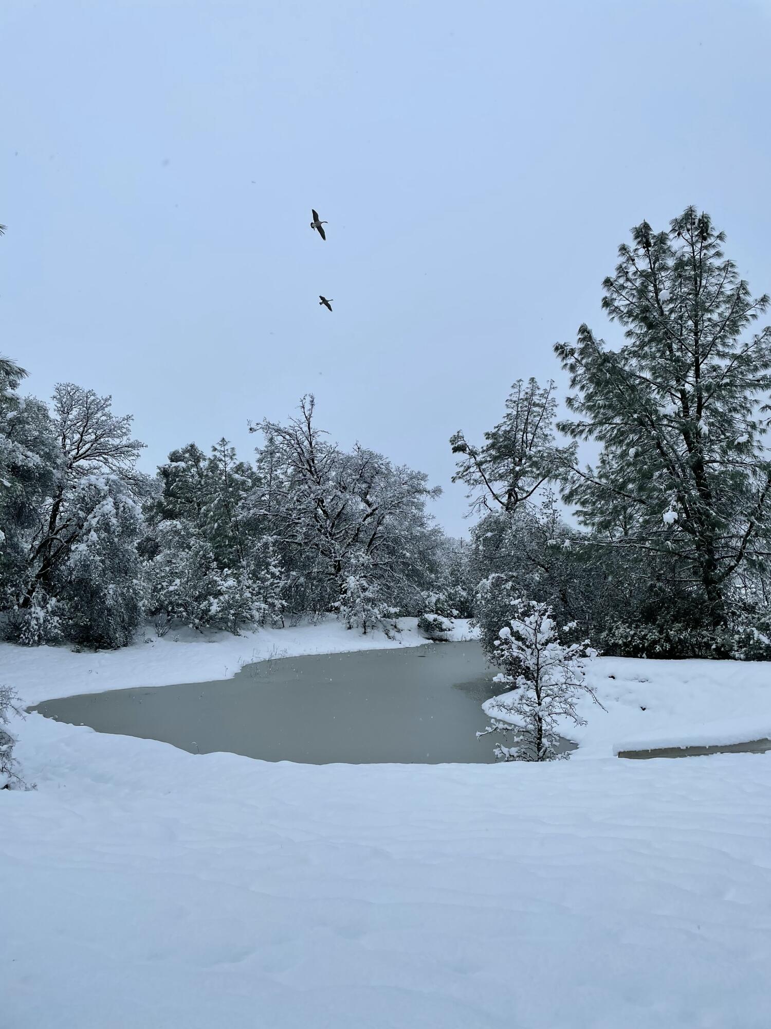 13955 Dusty Oaks Trail