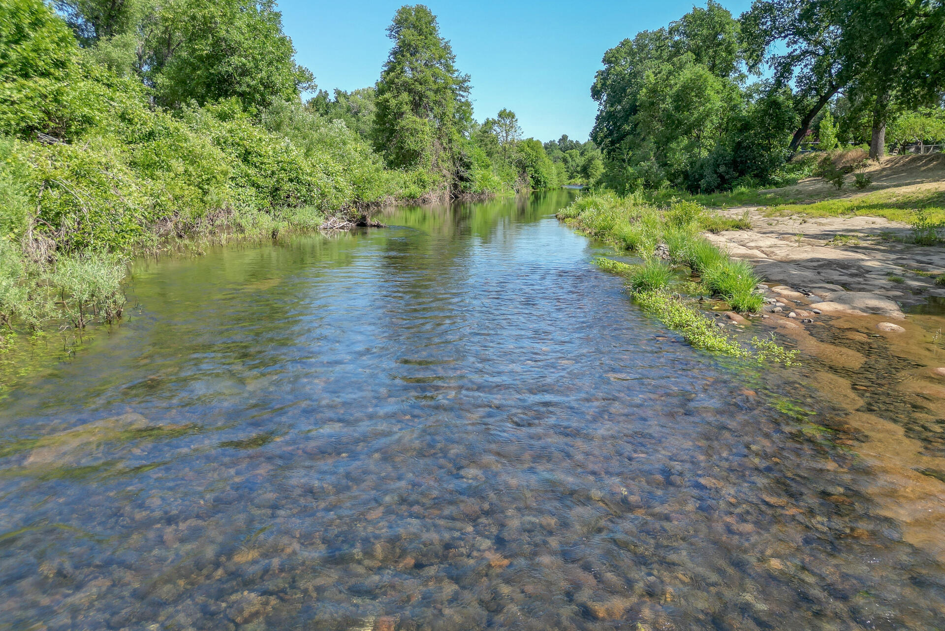 9912 Cow Creek Drive