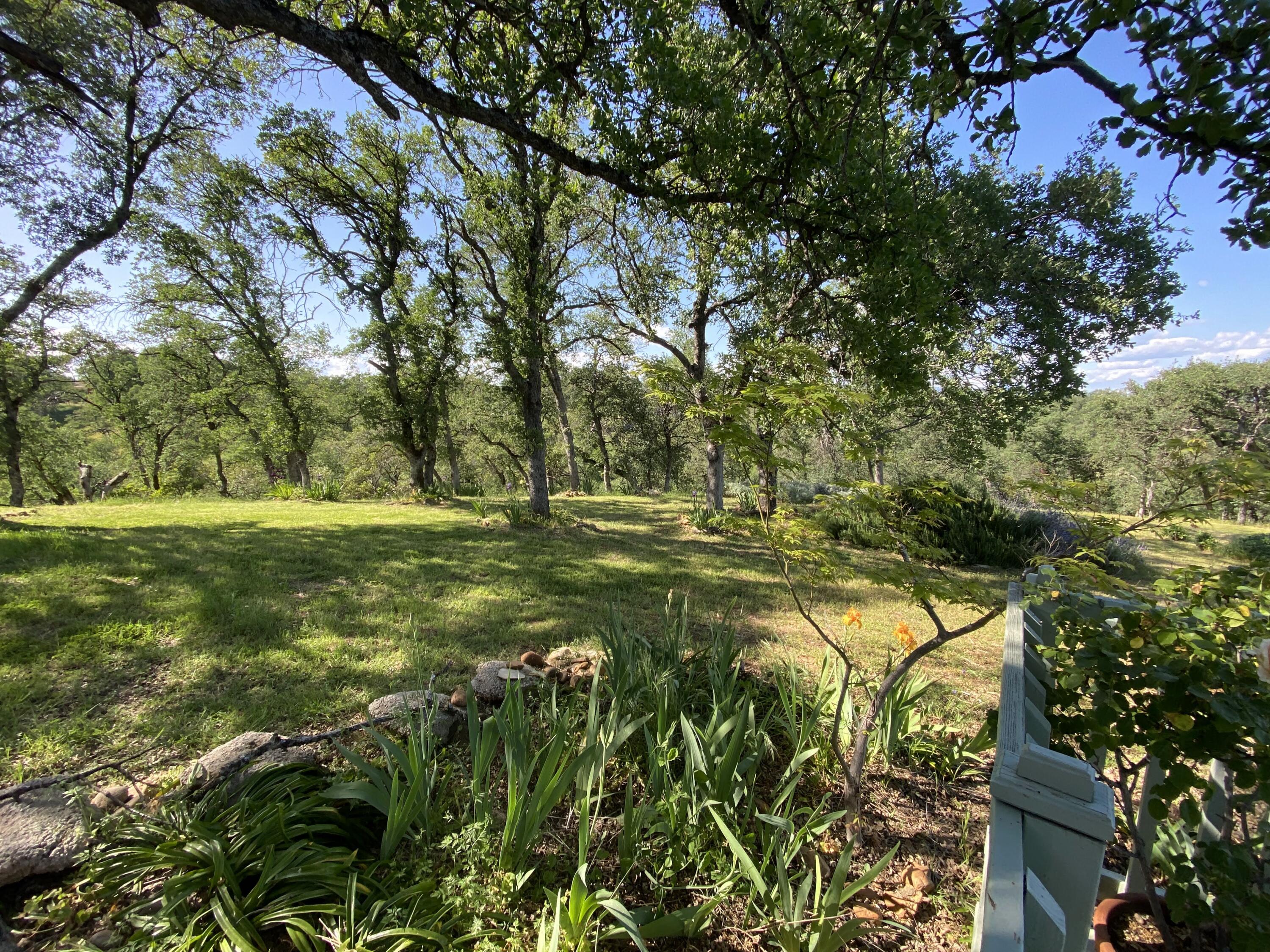 8828 Sun Valley Drive