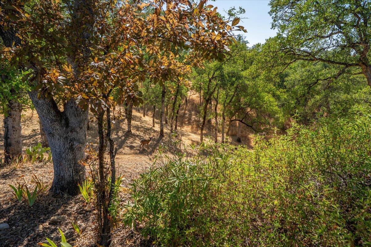 8828 Sun Valley Drive