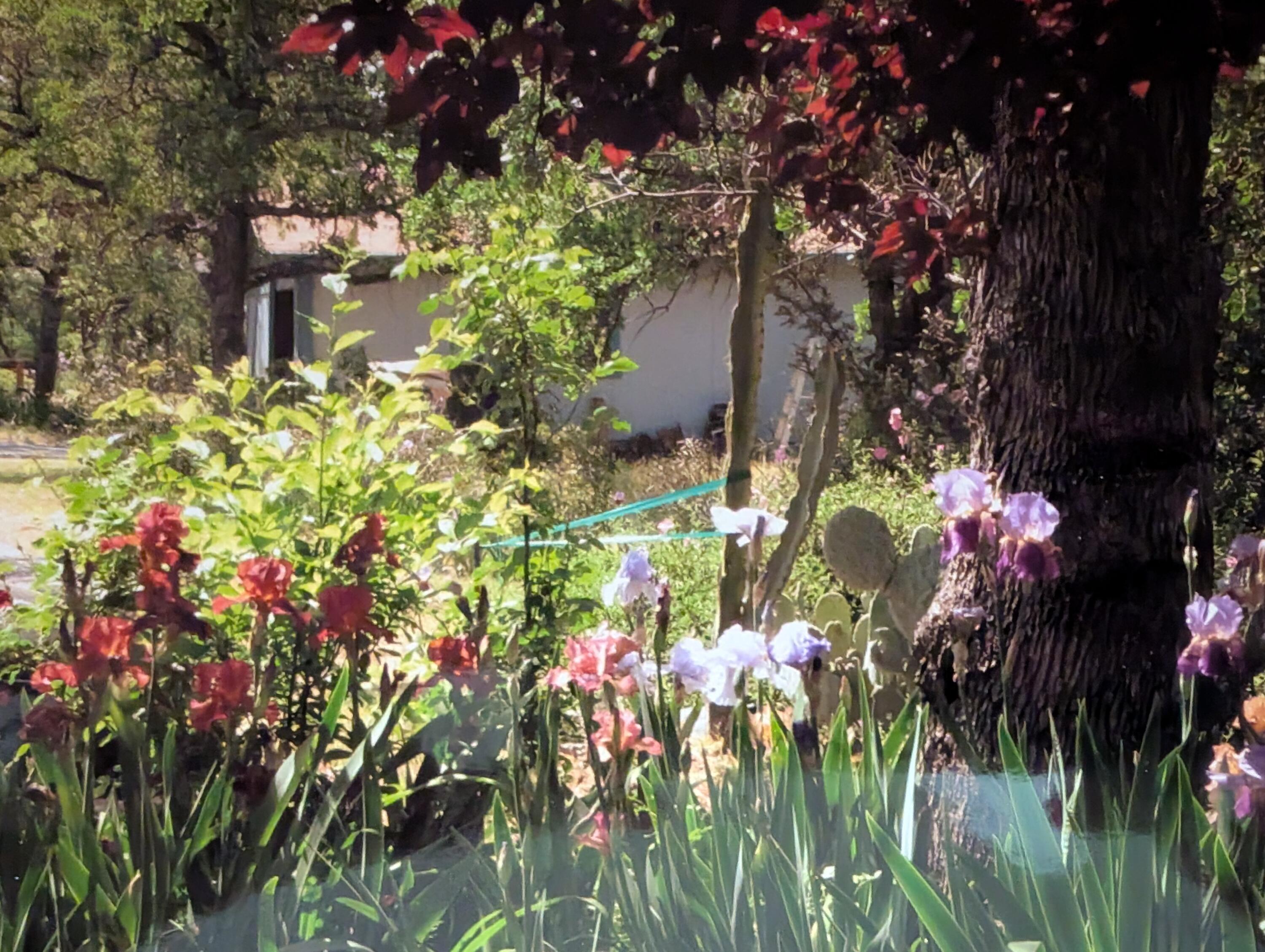 8828 Sun Valley Drive