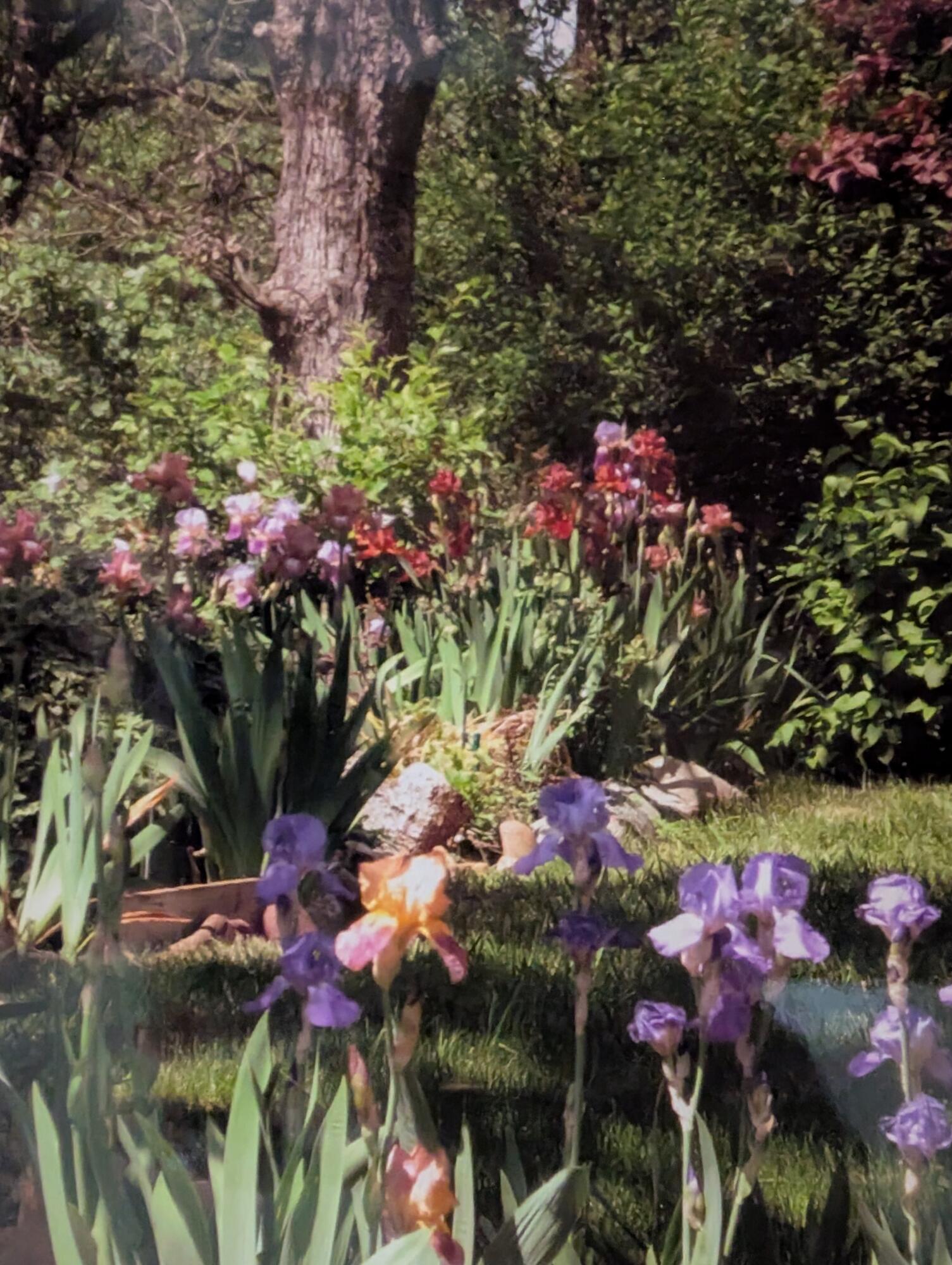 8828 Sun Valley Drive