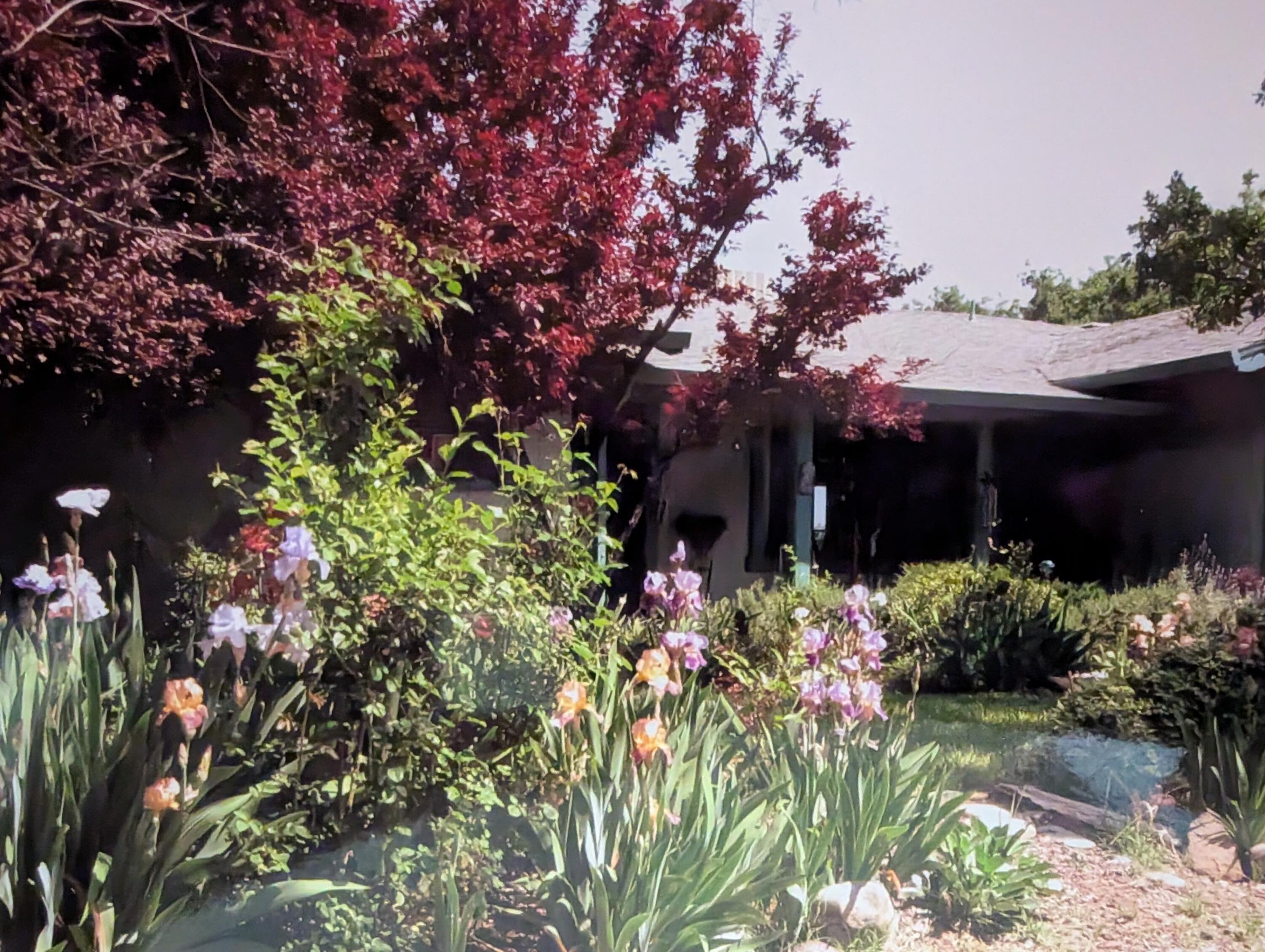 8828 Sun Valley Drive