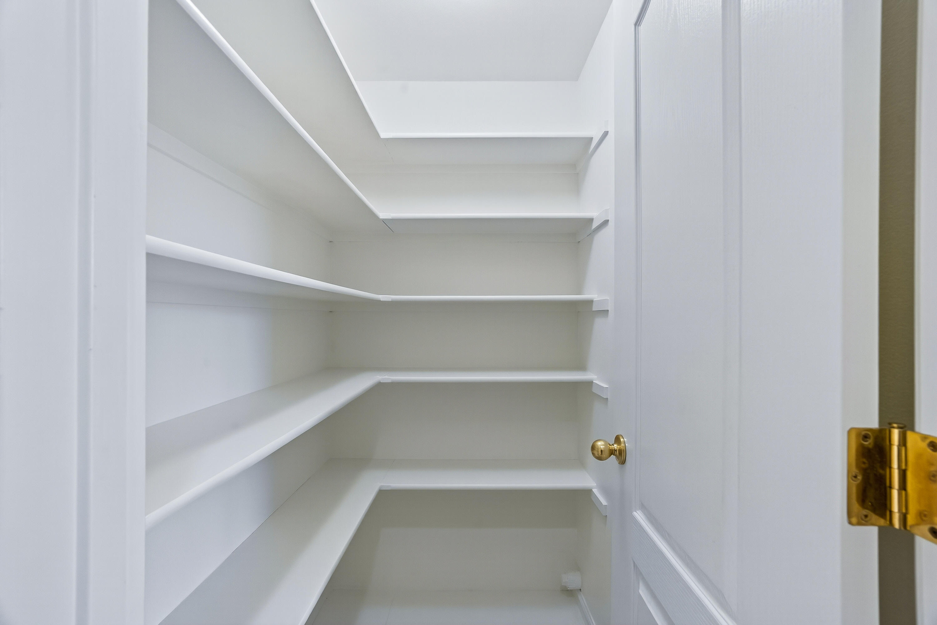 3005 Blue Bell Drive