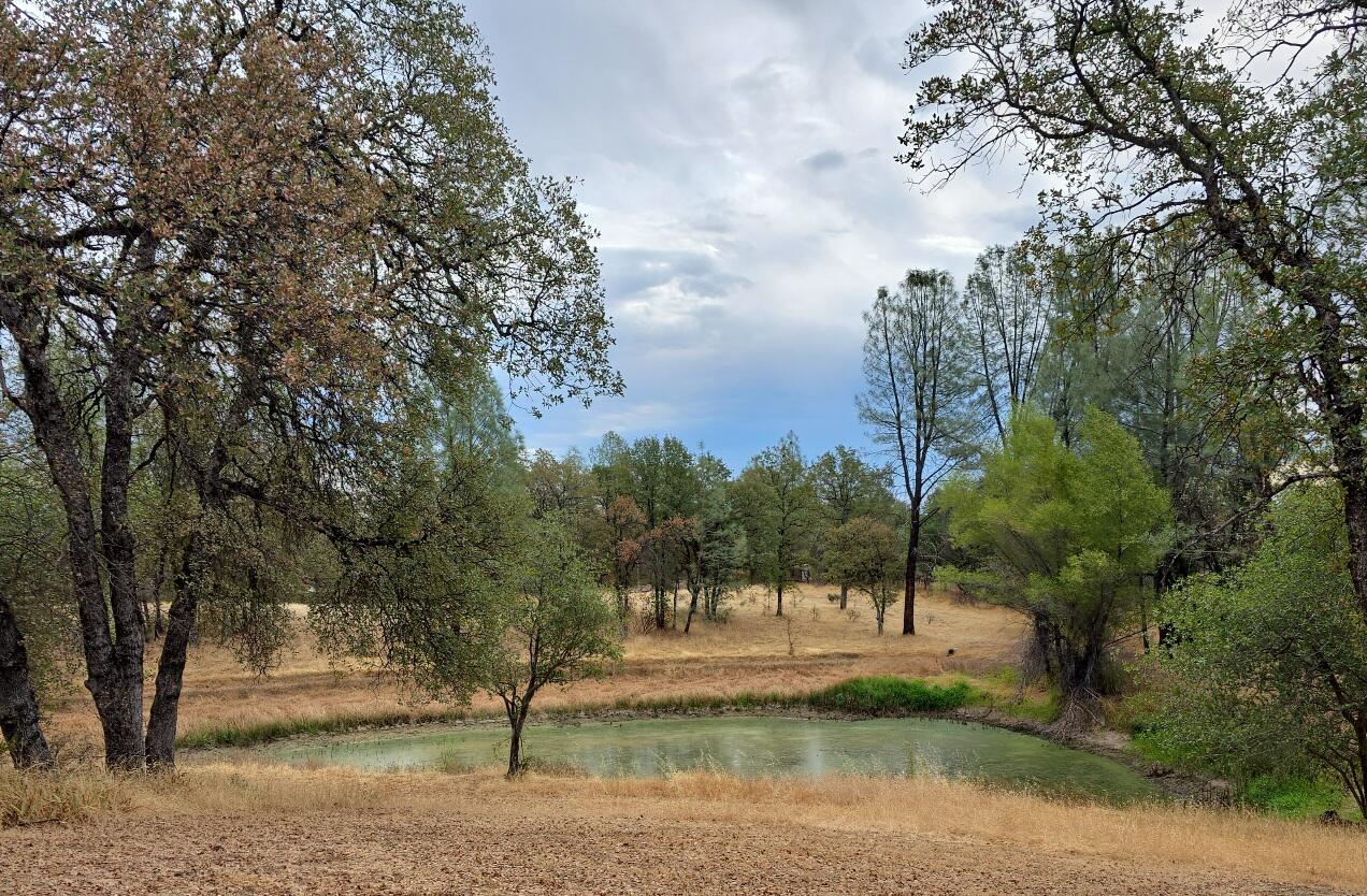 12029 Del Ange Place