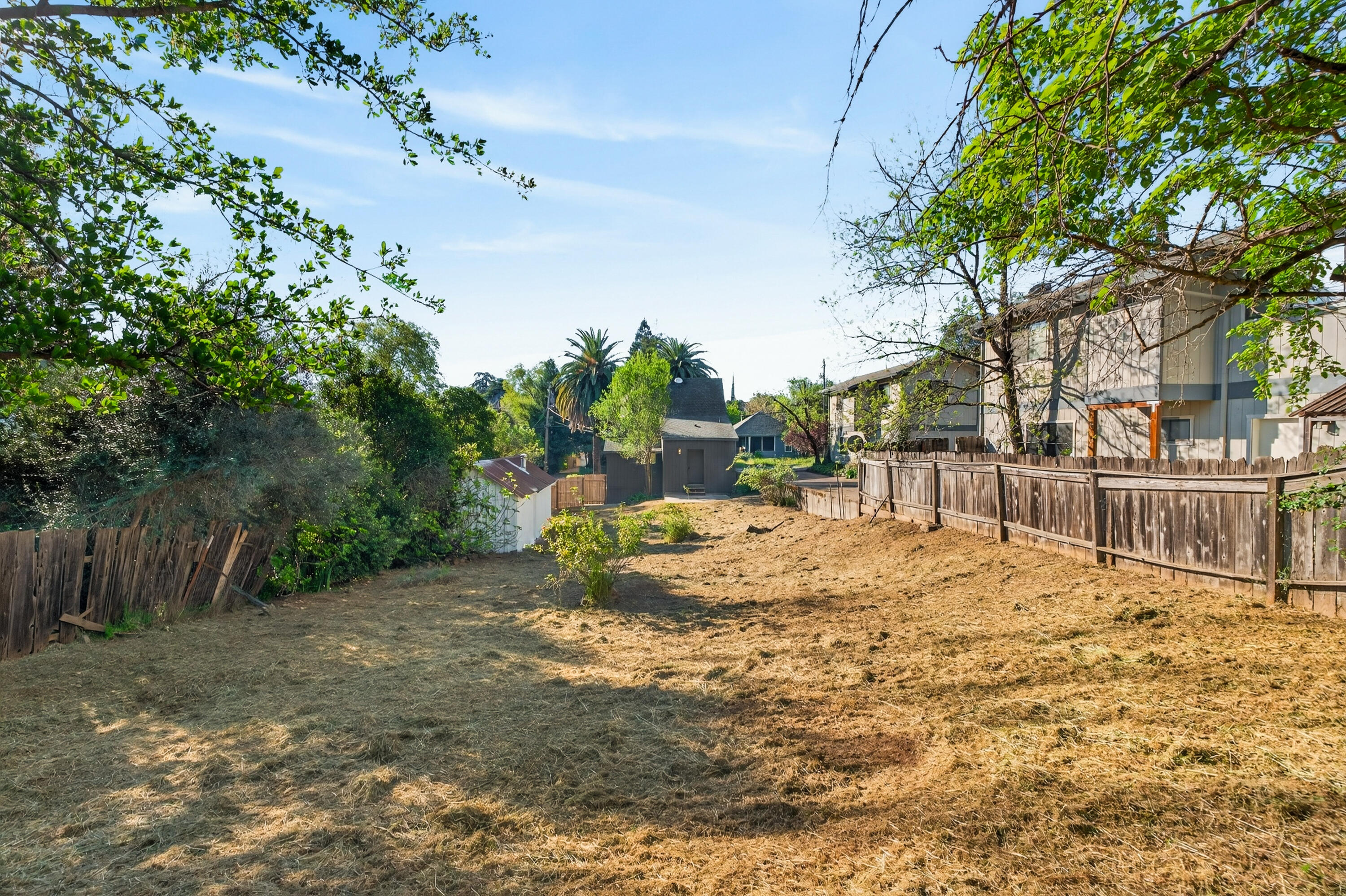 2036 Placer Street