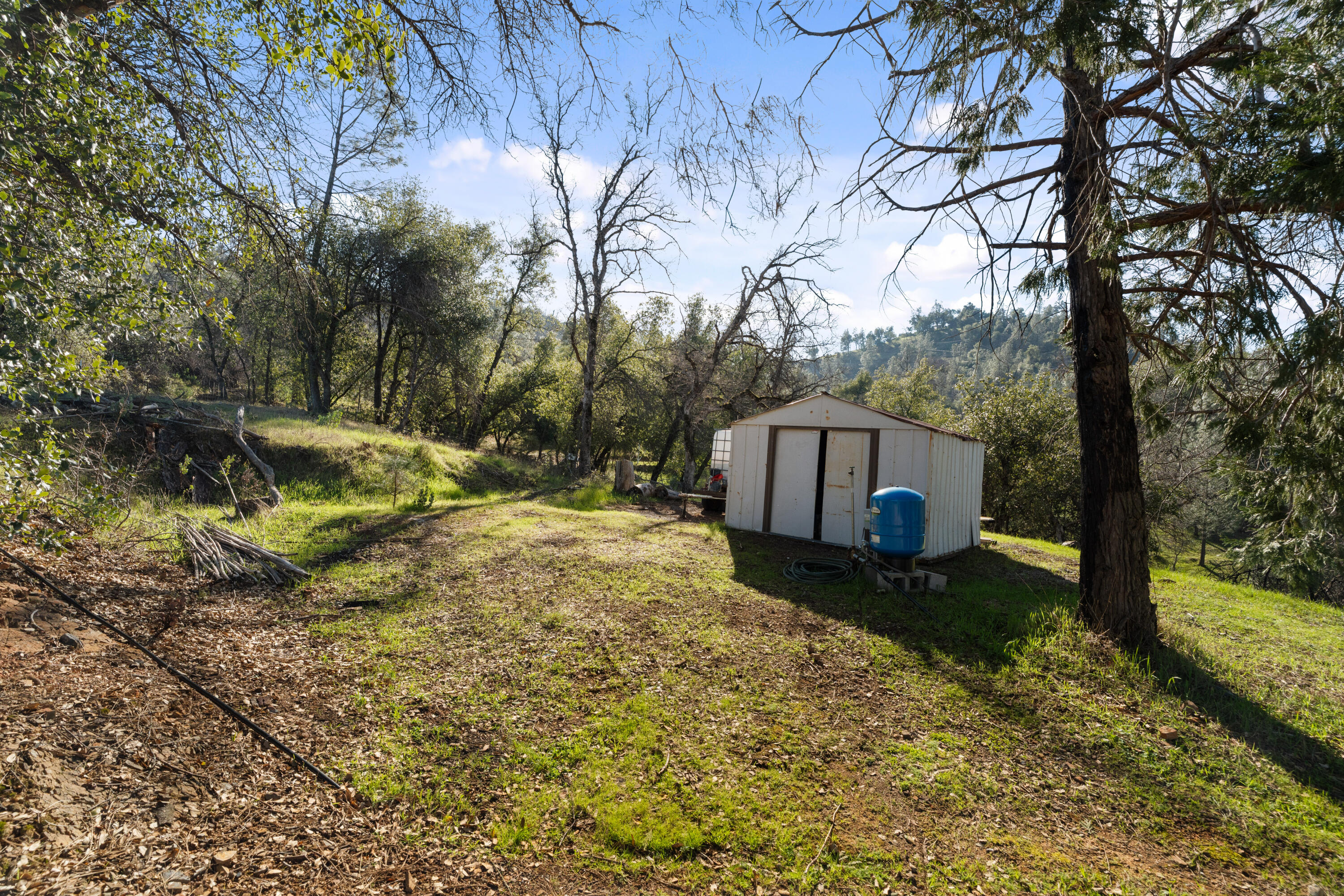 21484 Driftwood Trail