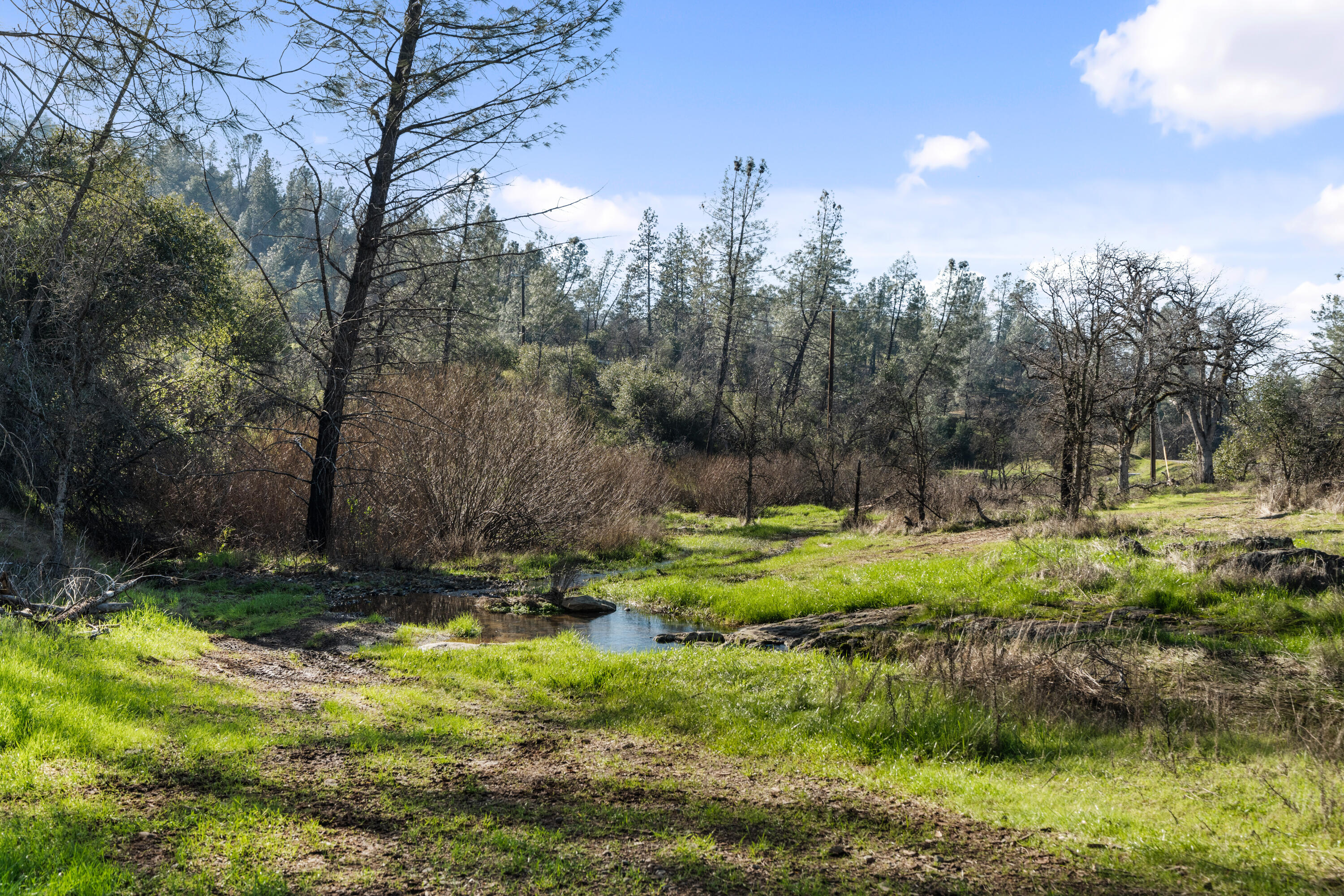 21484 Driftwood Trail