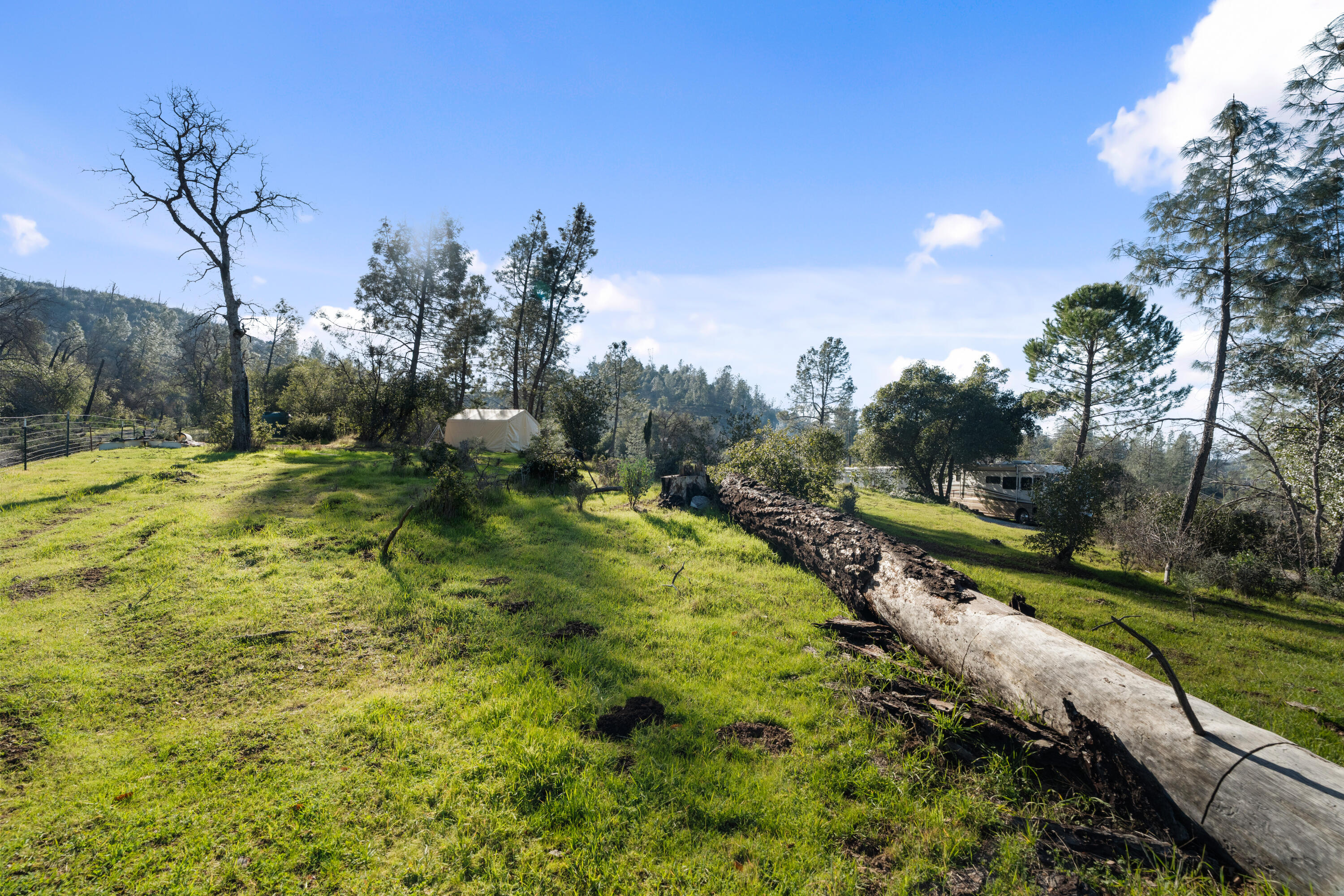 21484 Driftwood Trail