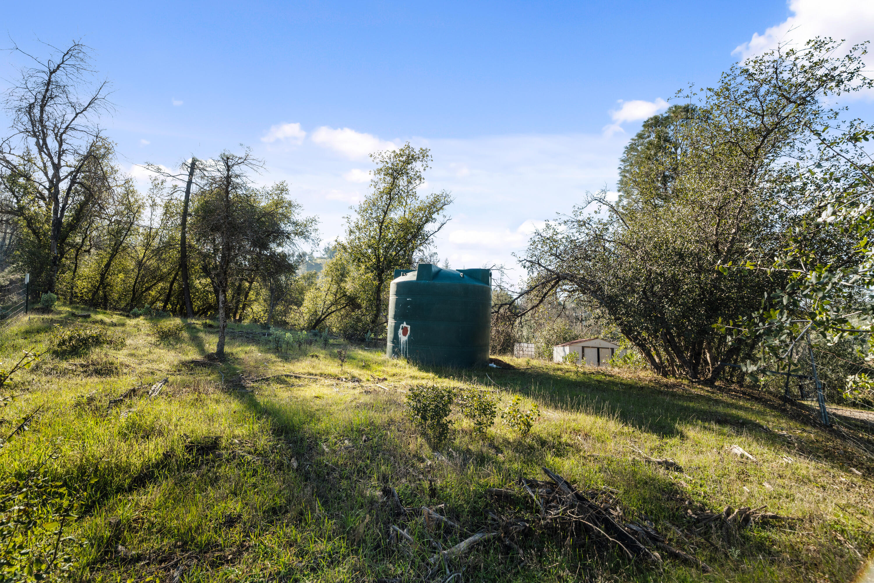 21484 Driftwood Trail