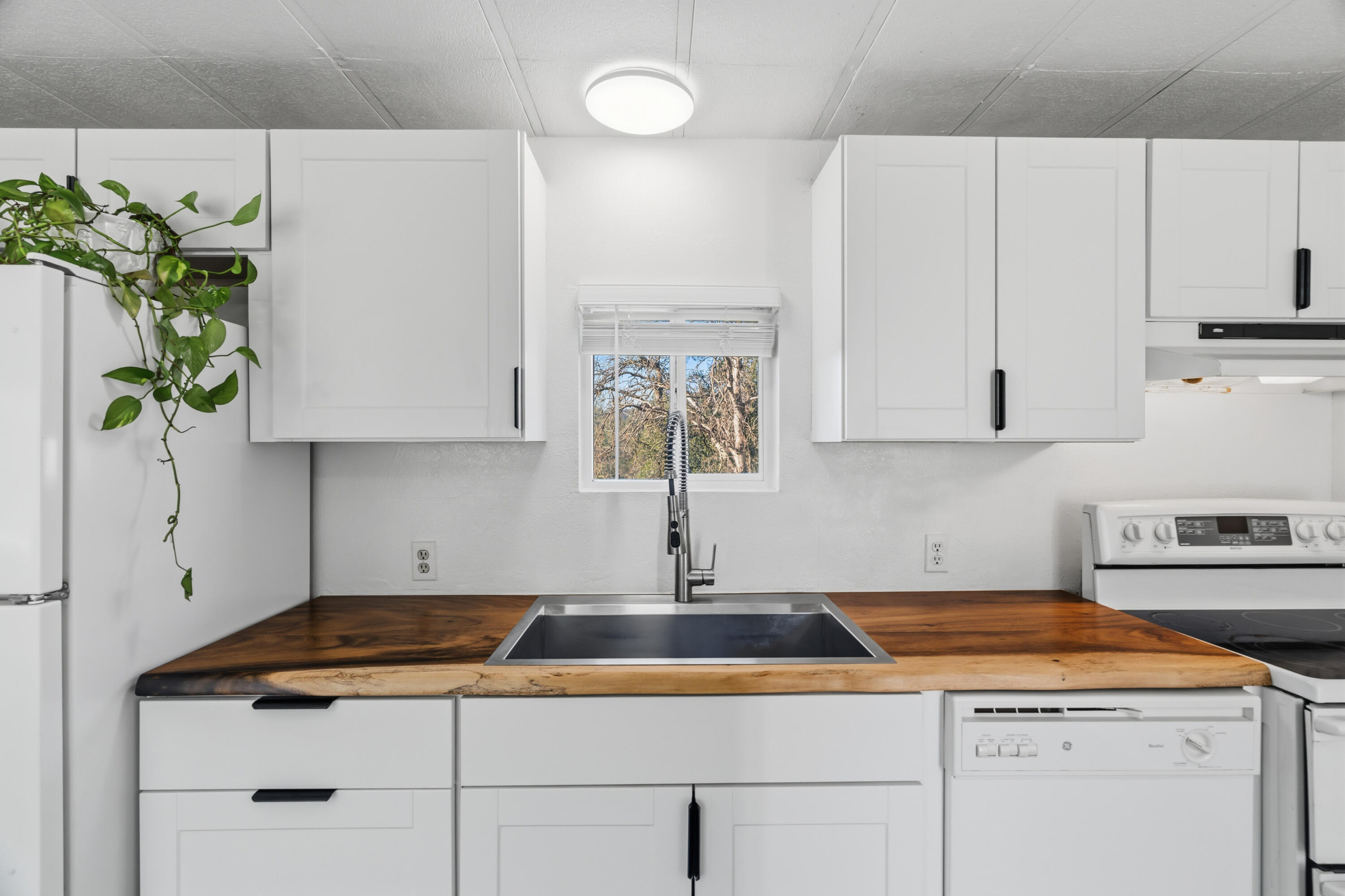 21484 Driftwood Trail