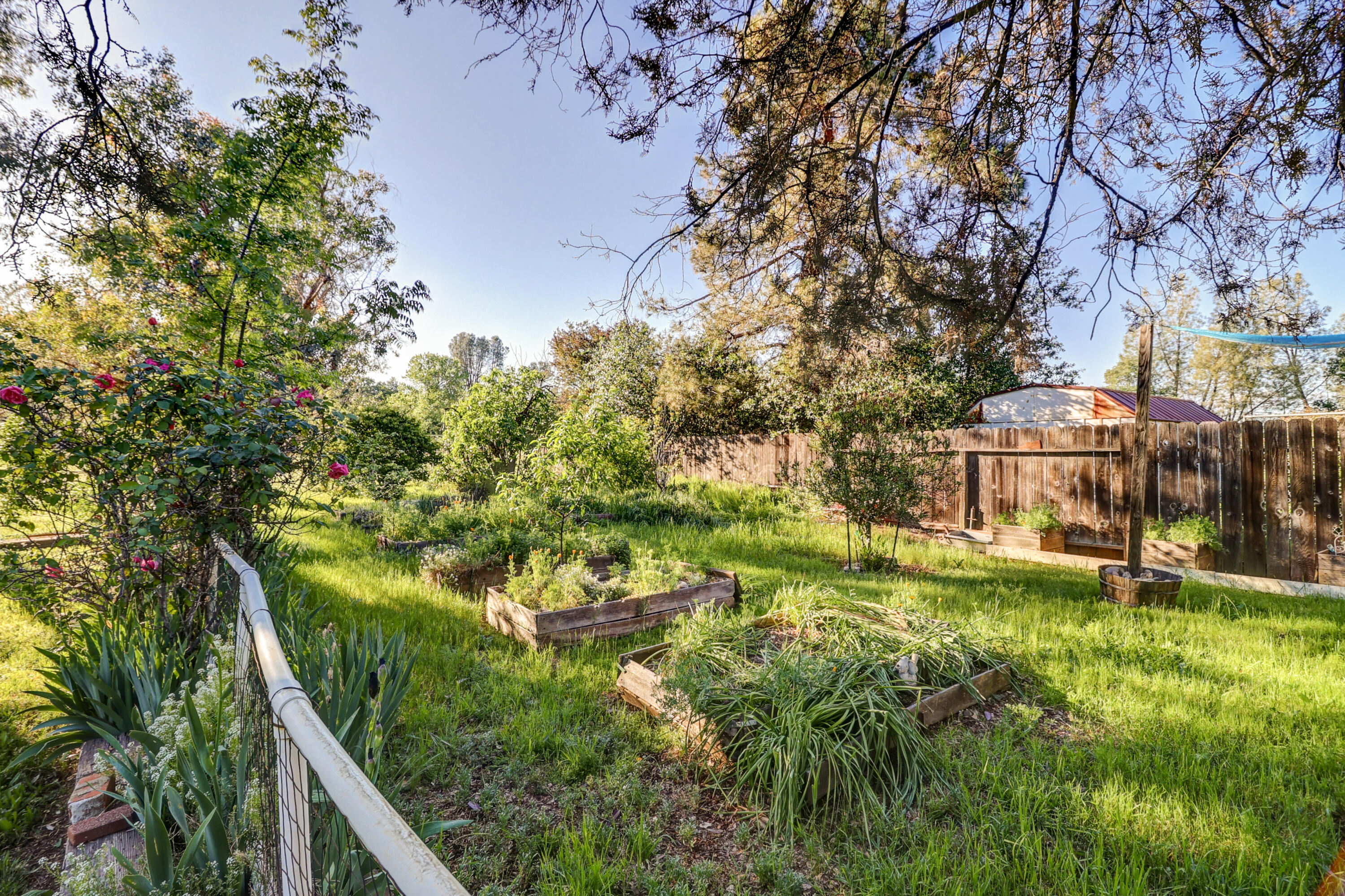 1648 Filaree Drive