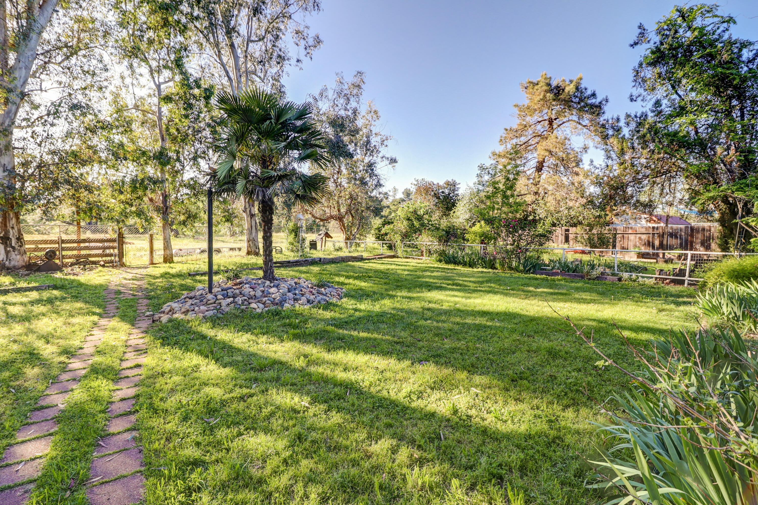 1648 Filaree Drive