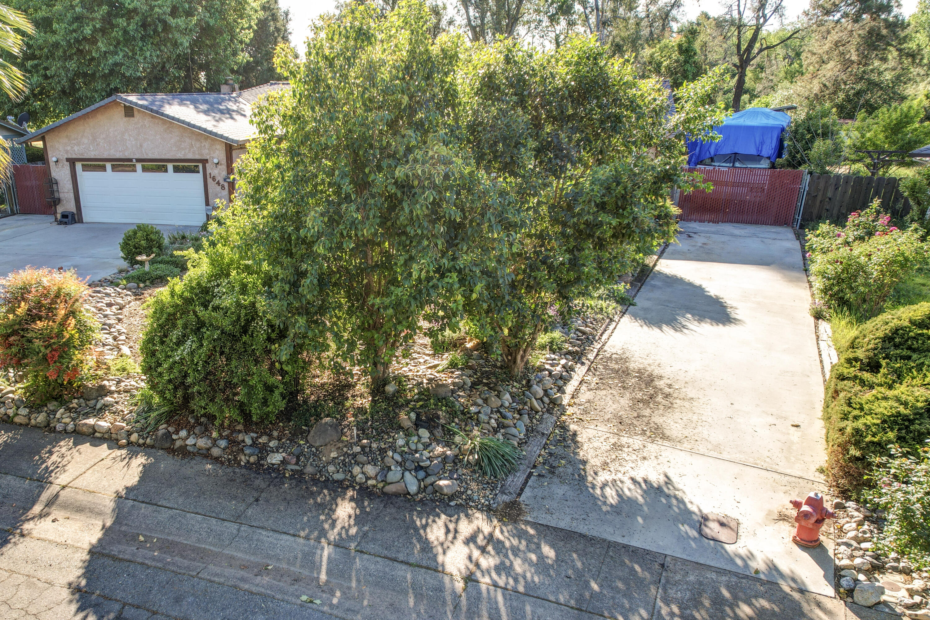 1648 Filaree Drive