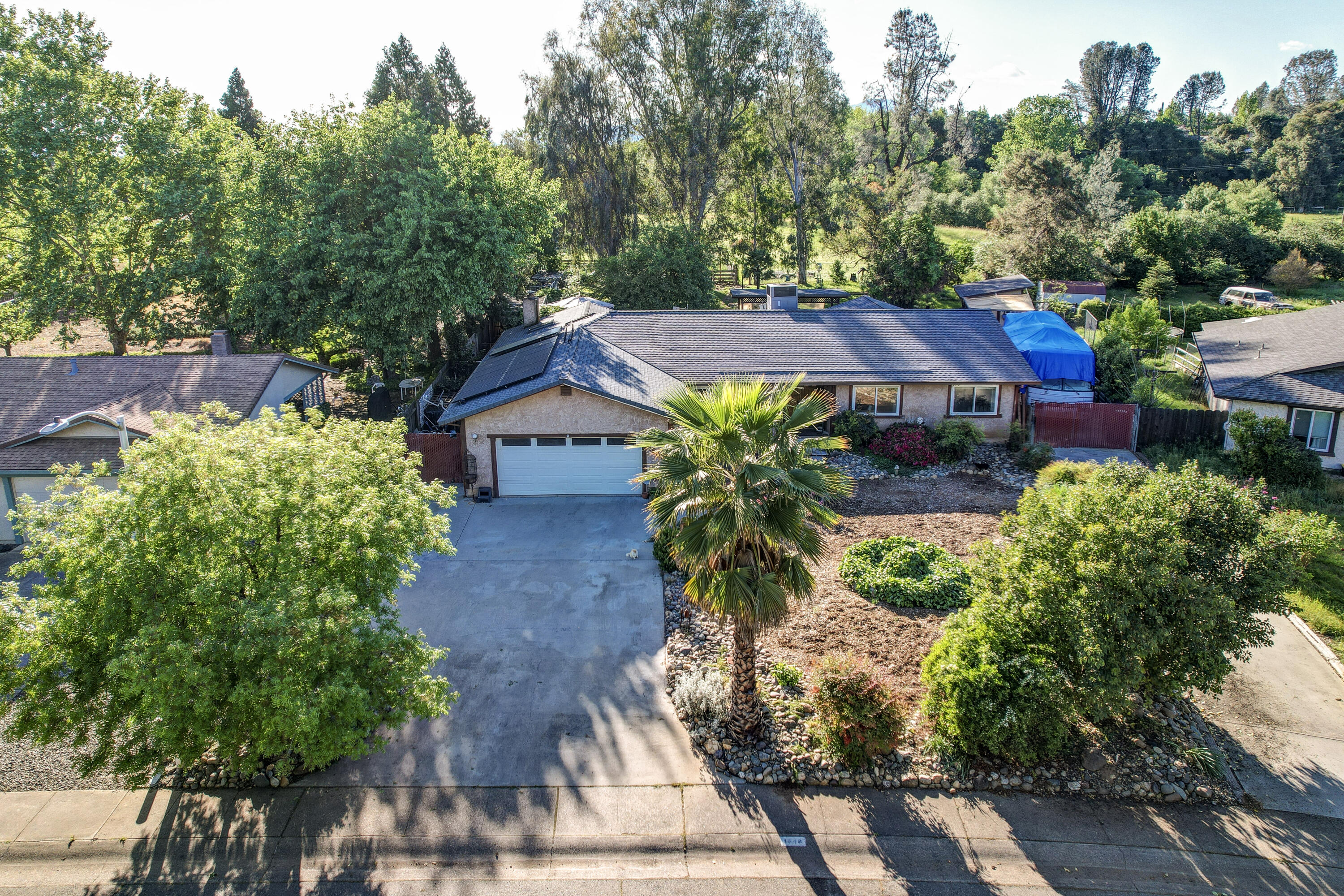 1648 Filaree Drive