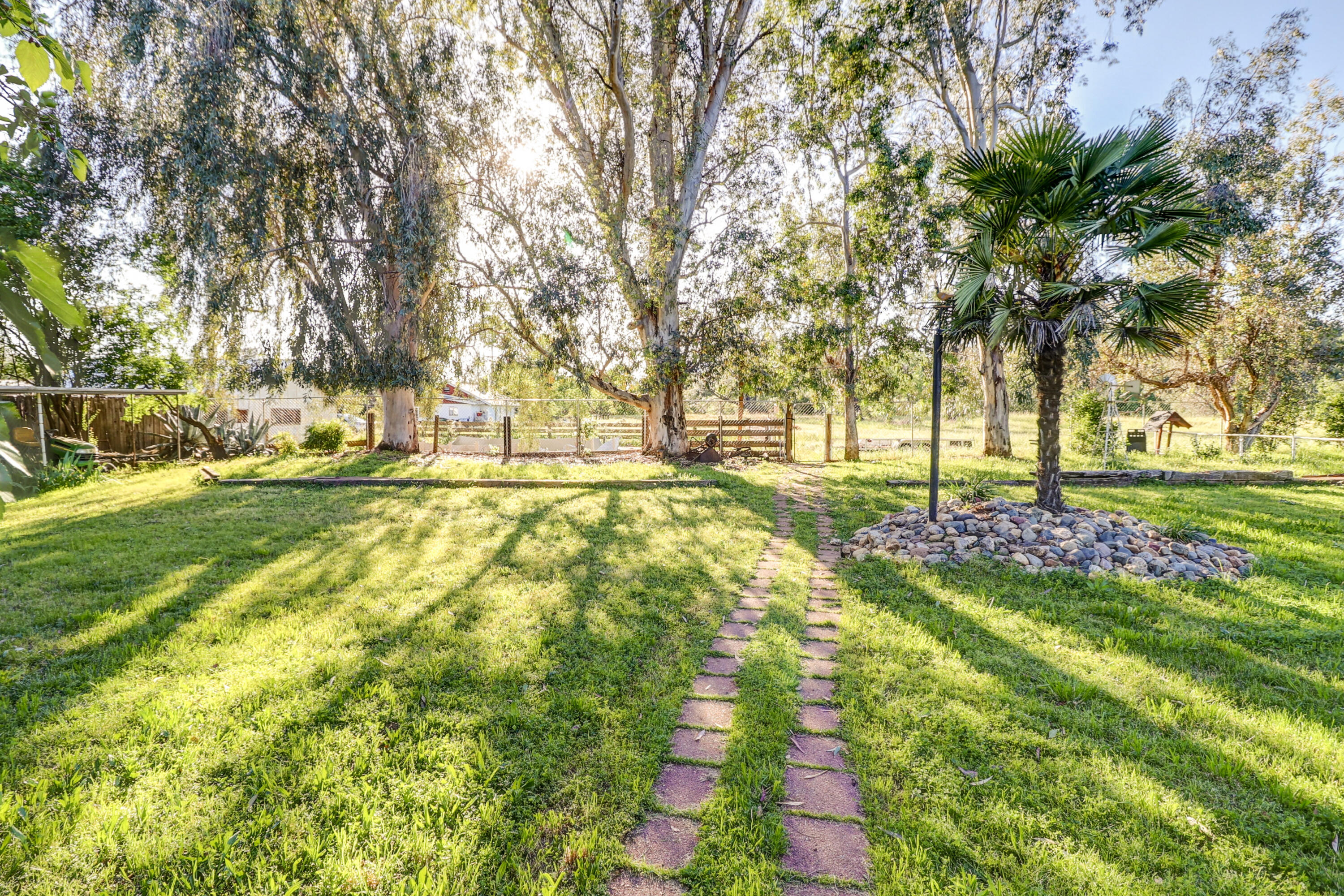1648 Filaree Drive