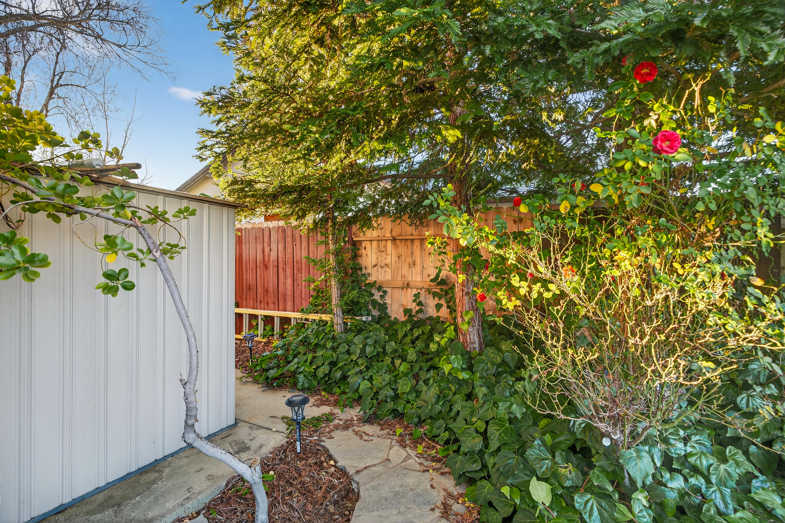 2868 Blue Bell Drive