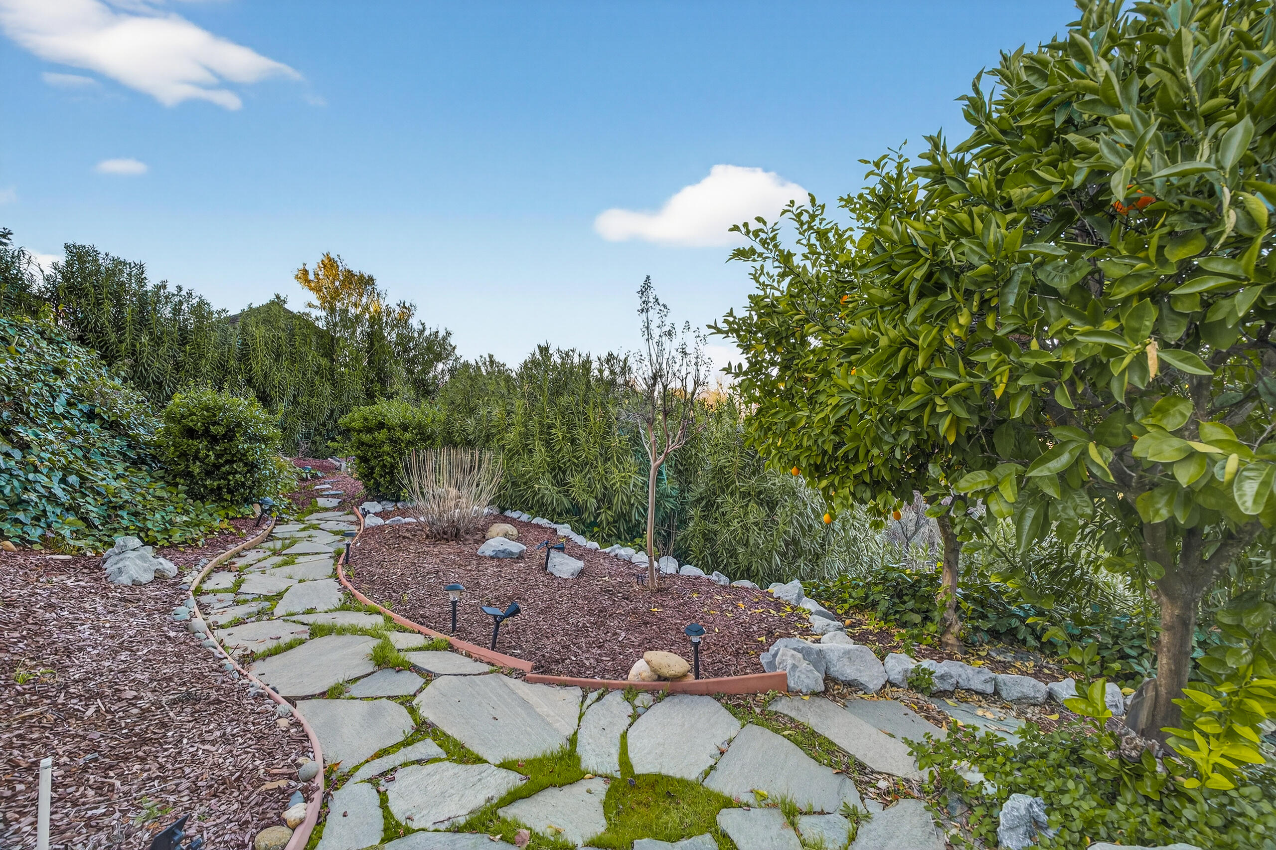 2868 Blue Bell Drive