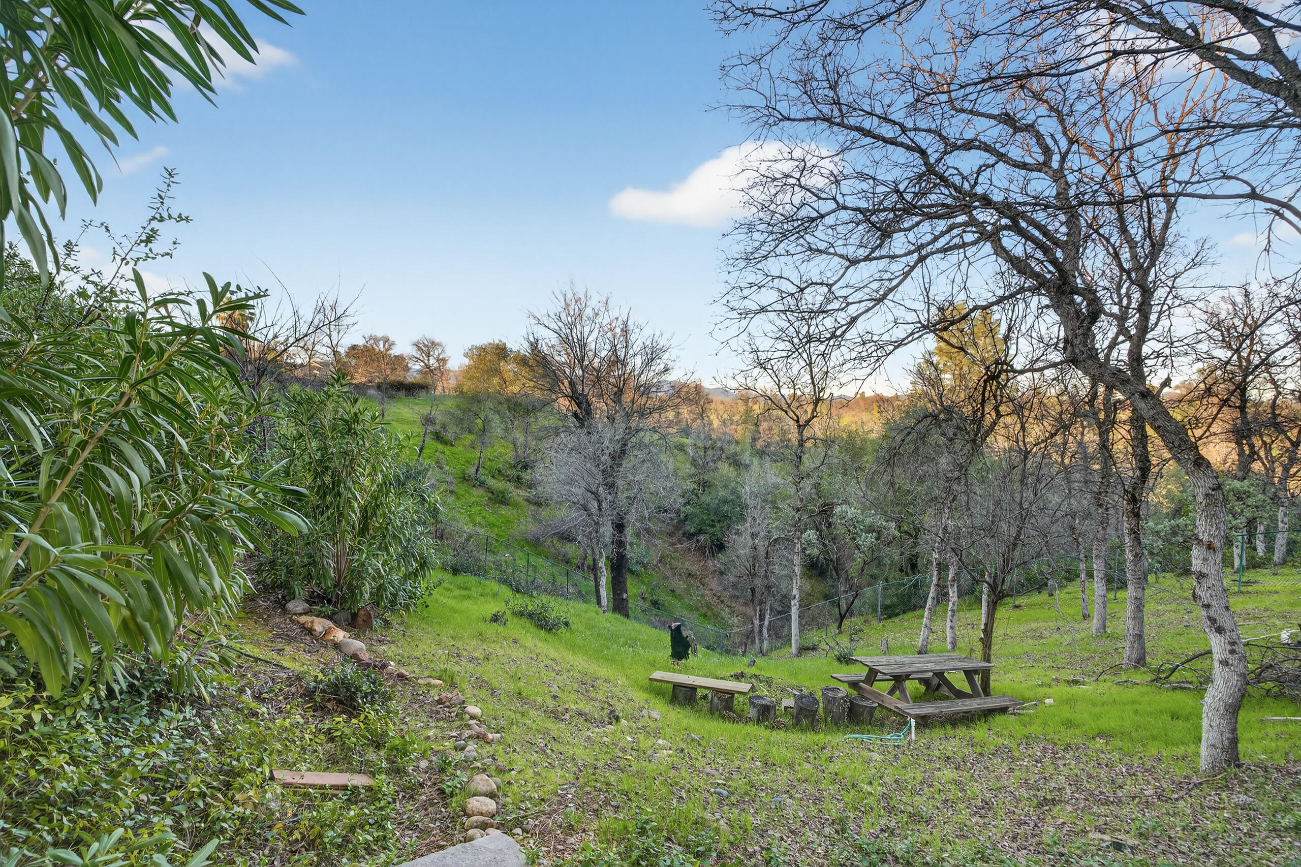 2868 Blue Bell Drive