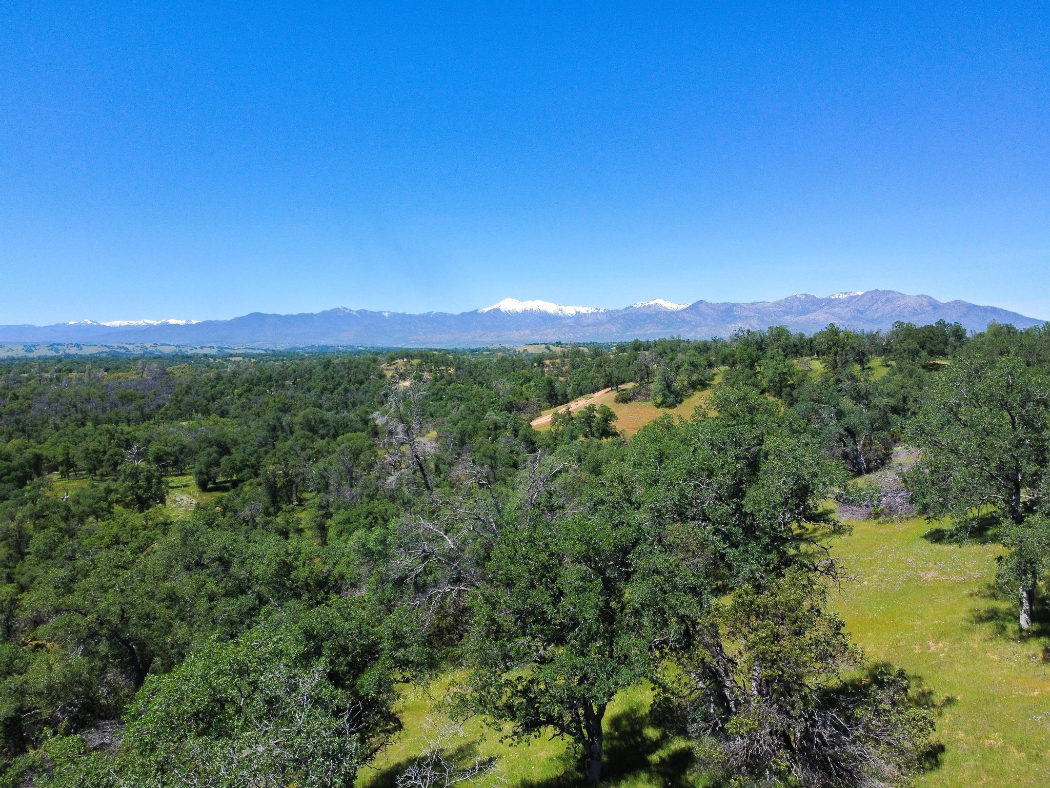 40 Acres Two Feathers Road