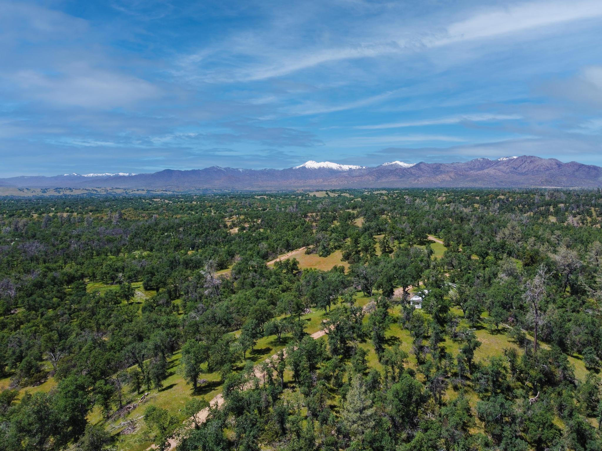 40 Acres Two Feathers Road
