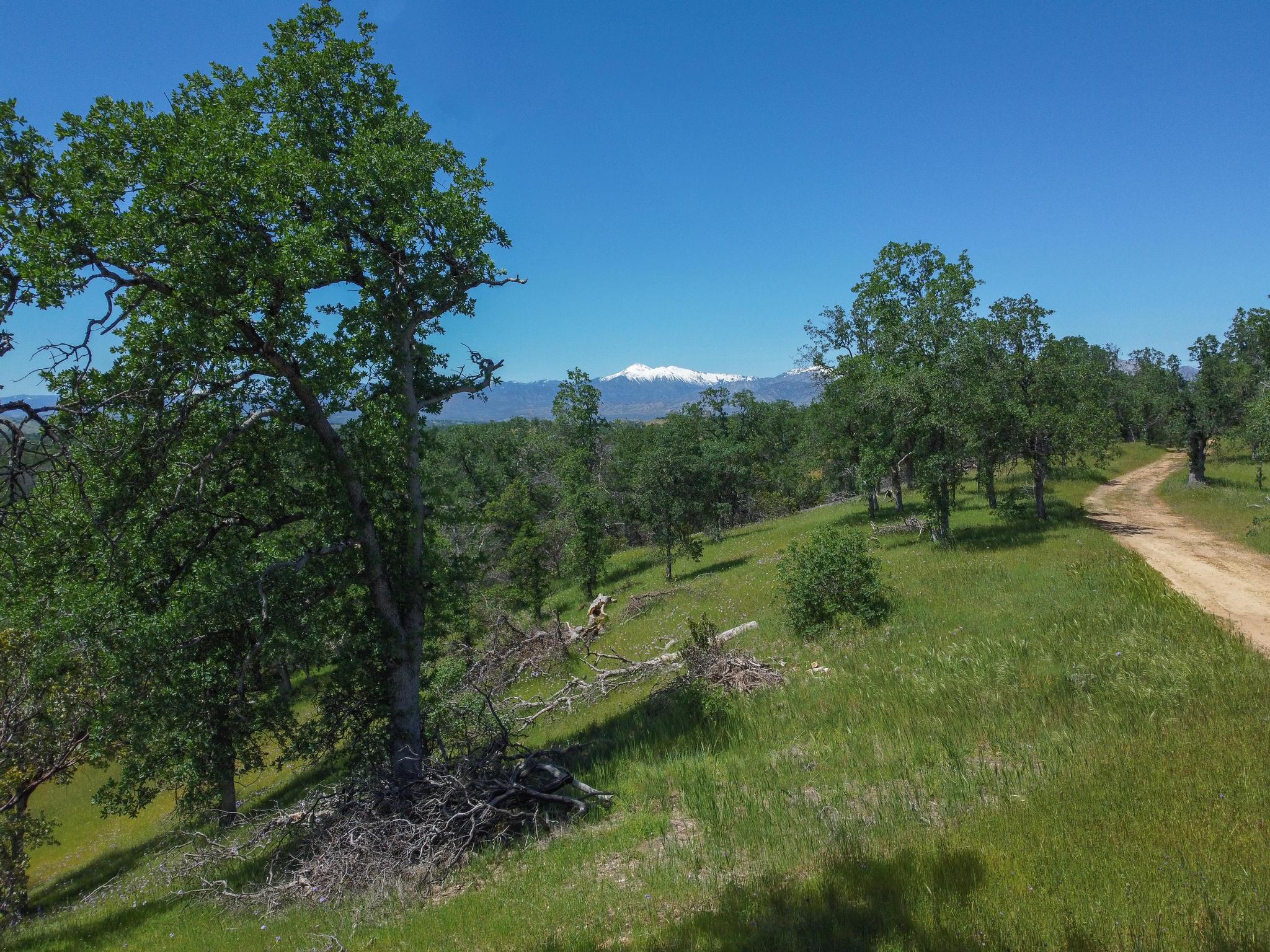 40 Acres Two Feathers Road