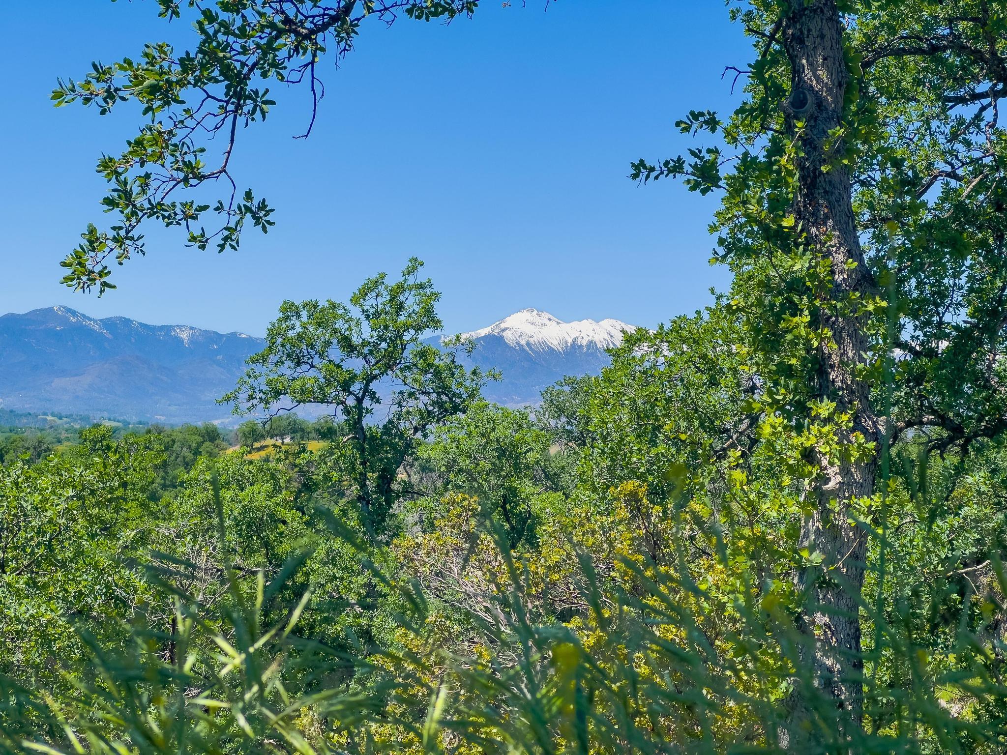 40 Acres Two Feathers Road