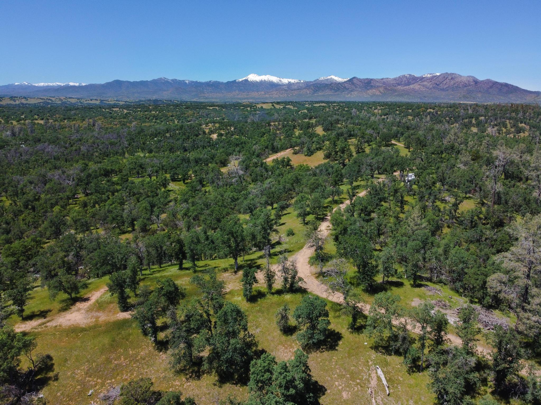 40 Acres Two Feathers Road
