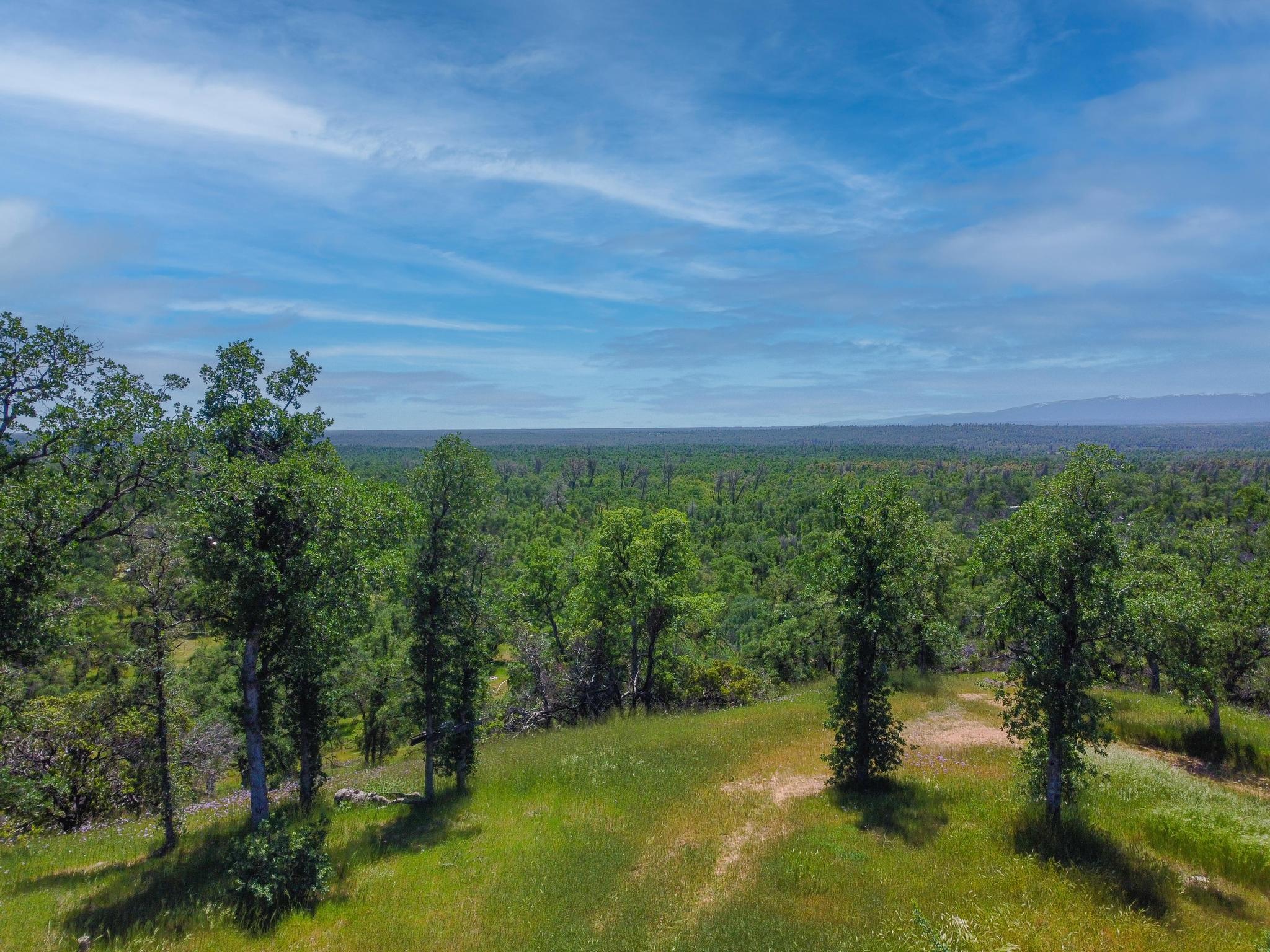 40 Acres Two Feathers Road