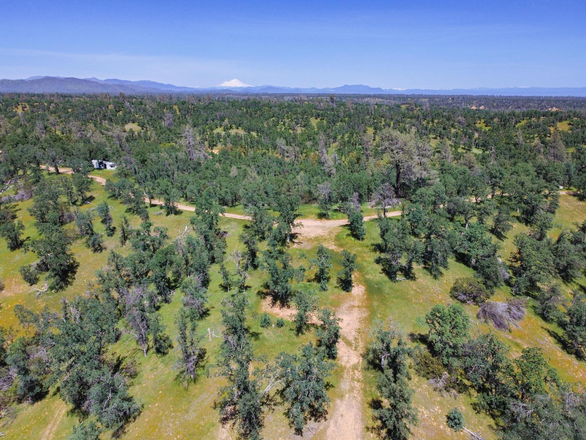 40 Acres Two Feathers Road