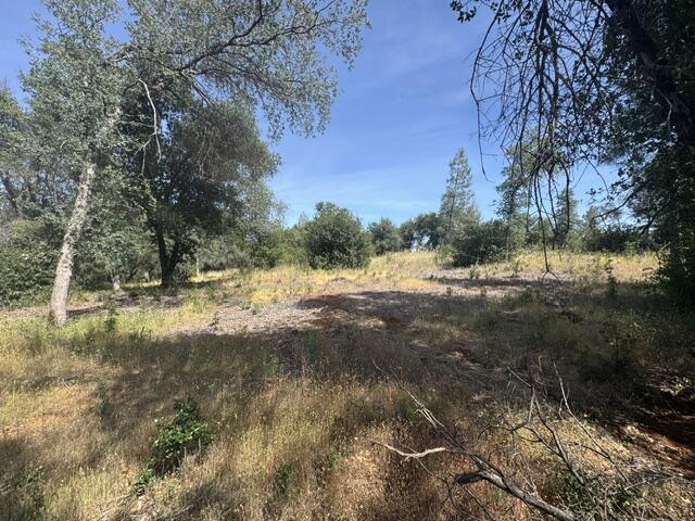 Tierra Oaks Drive