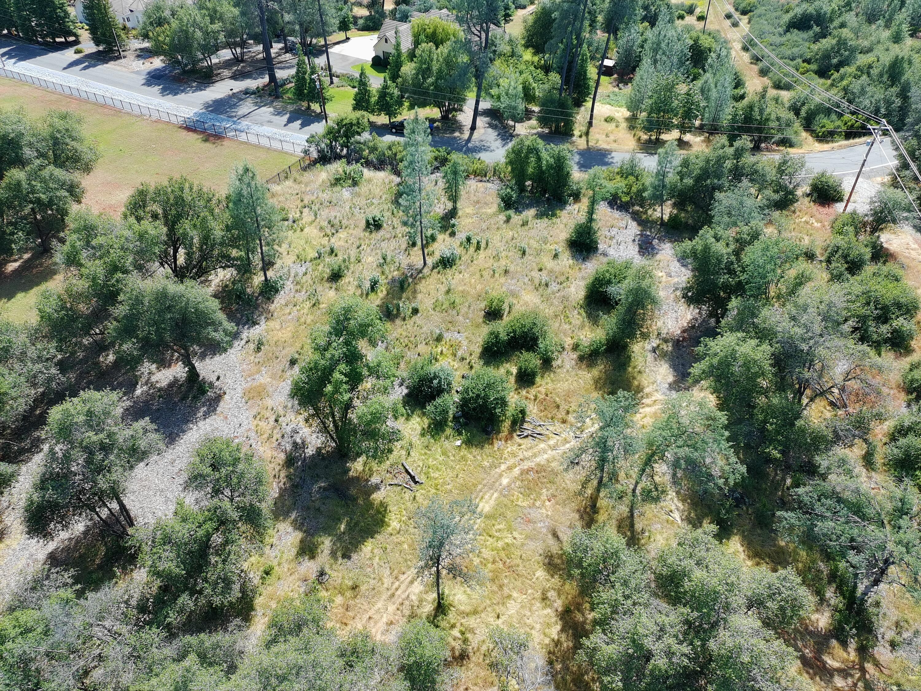 Tierra Oaks Drive