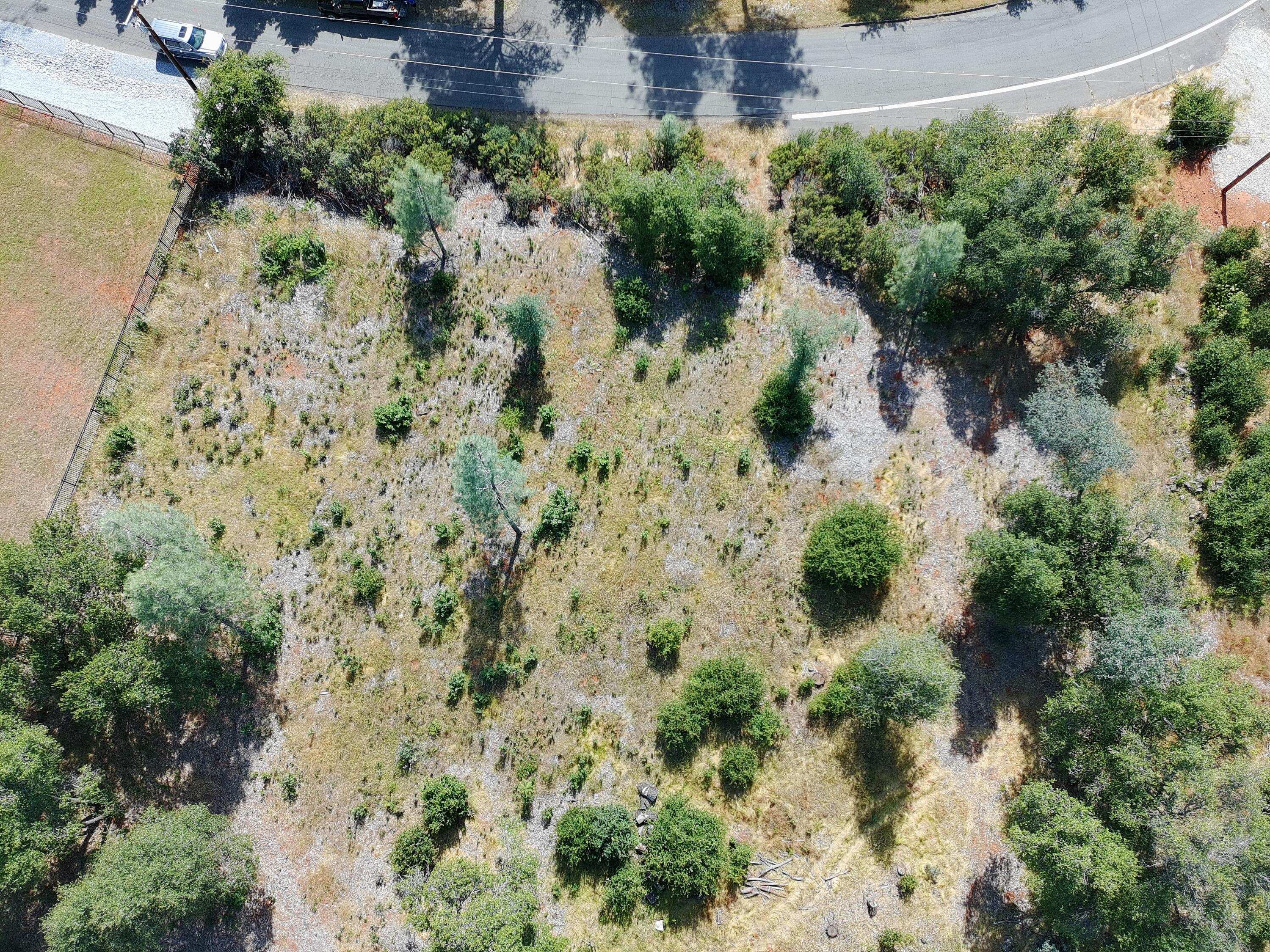 Tierra Oaks Drive