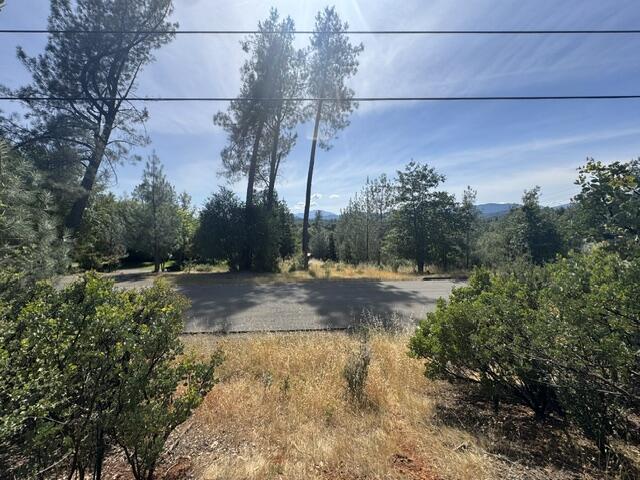 Tierra Oaks Drive