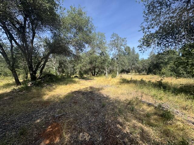 Tierra Oaks Drive